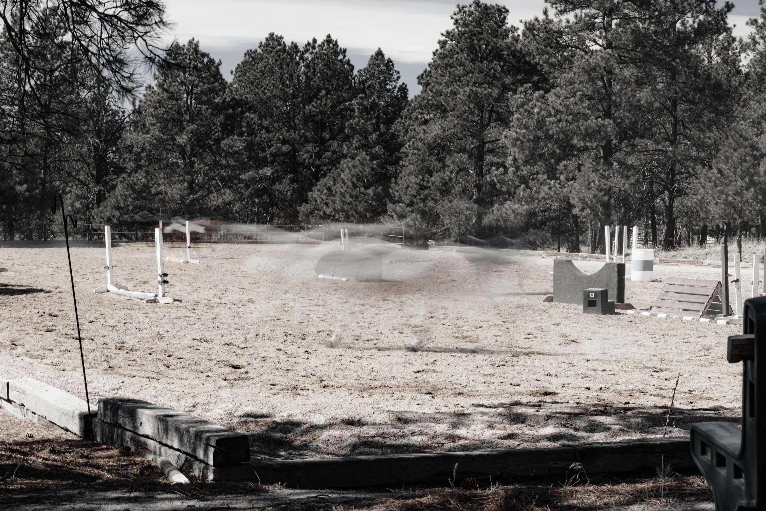An outdoor dog agility course on a sandy ground, surrounded by trees, with various jumps and obstacles.