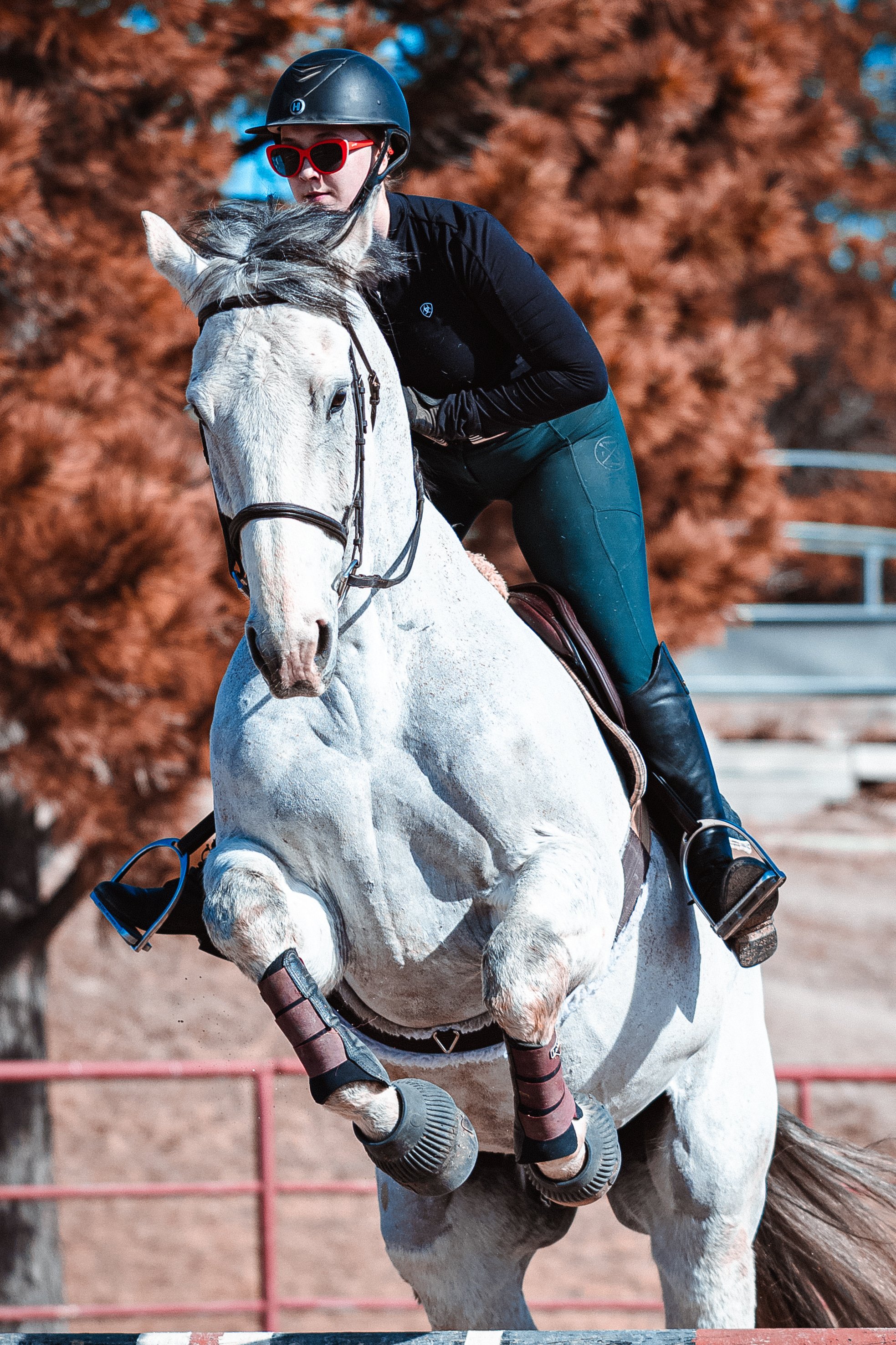 A female equestrian wearing a helmet and red sunglasses riding a white horse over an obstacle during an equestrian event.