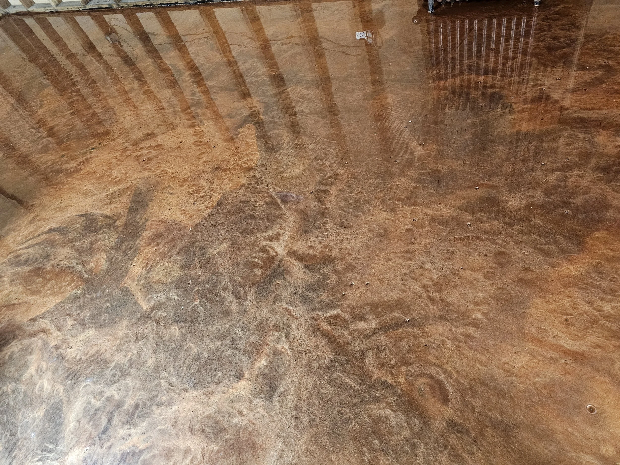 metallic-epoxy-basement-floor-finish-algonquin-il.jpg.jpg