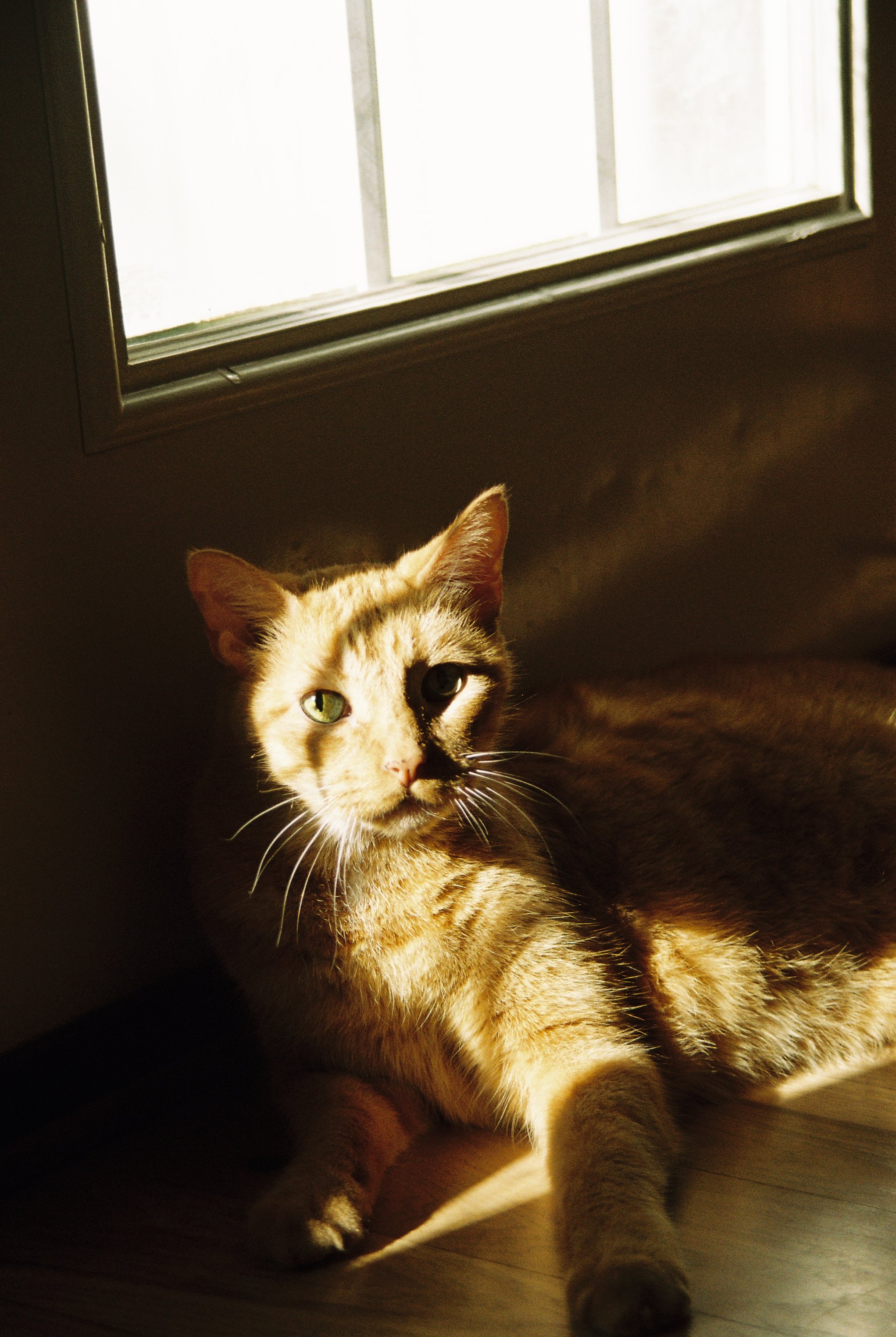 film 6.JPG