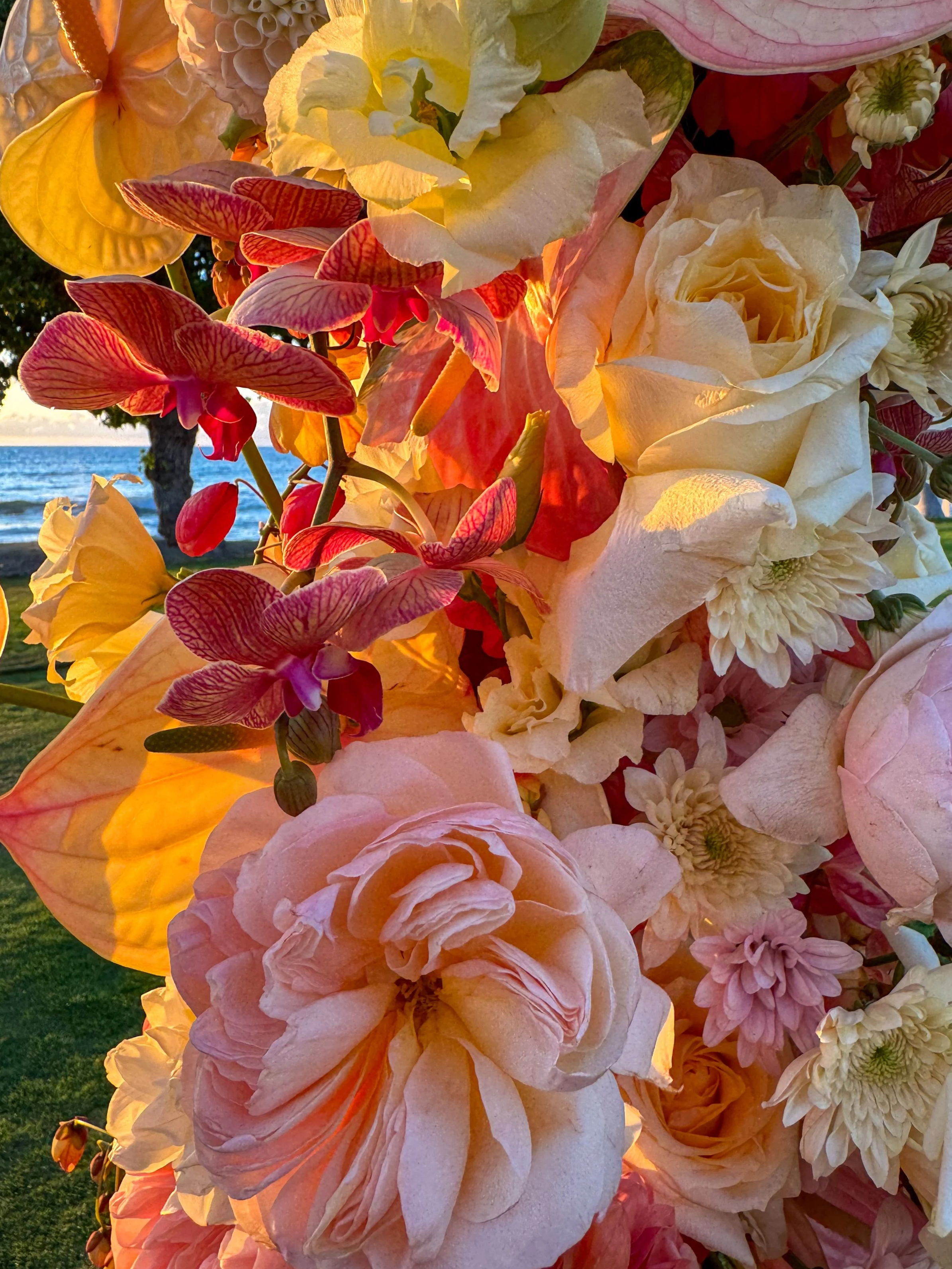 Bliss In Bloom Events - Behind the scenes content