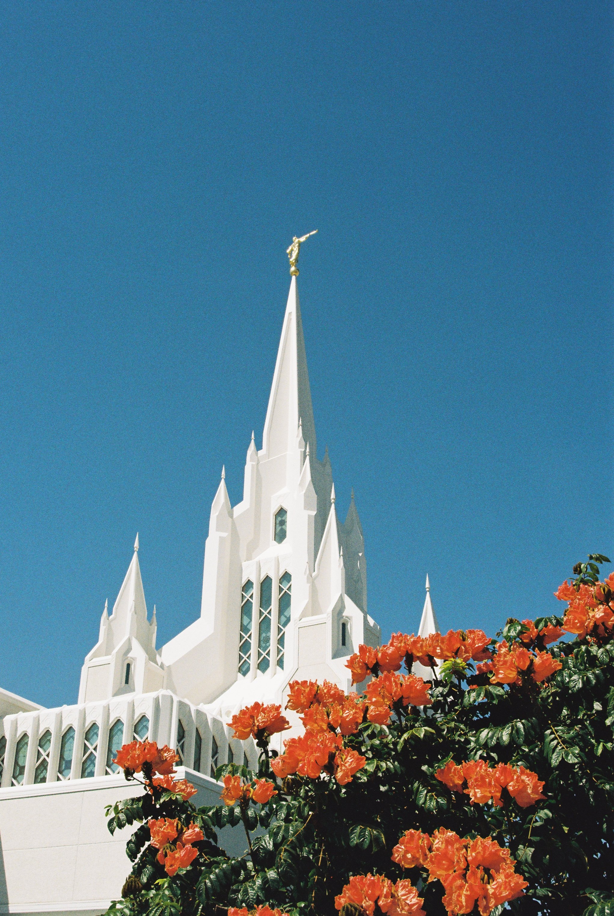 film 34.JPG