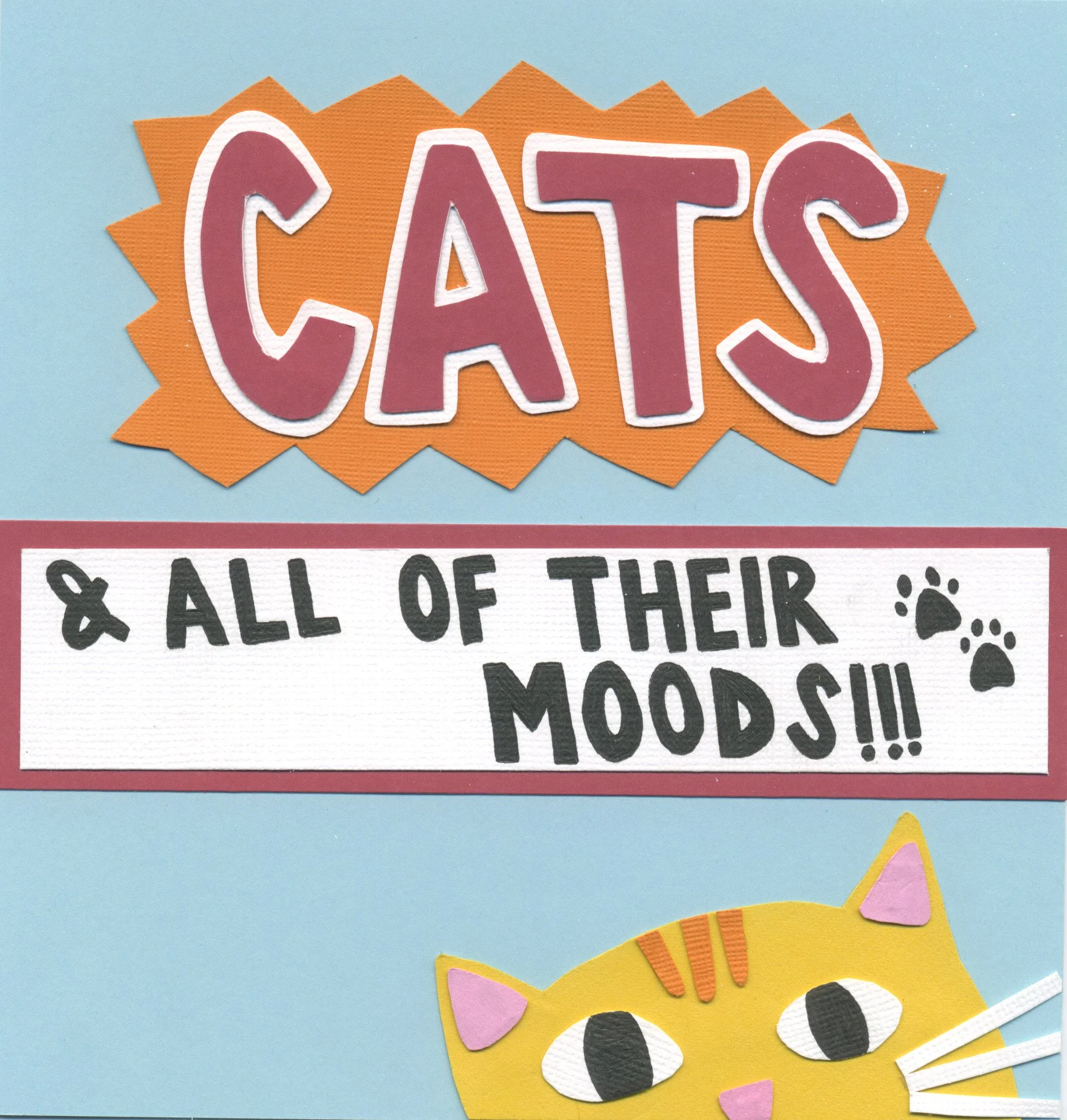 cat book 1-2.jpg