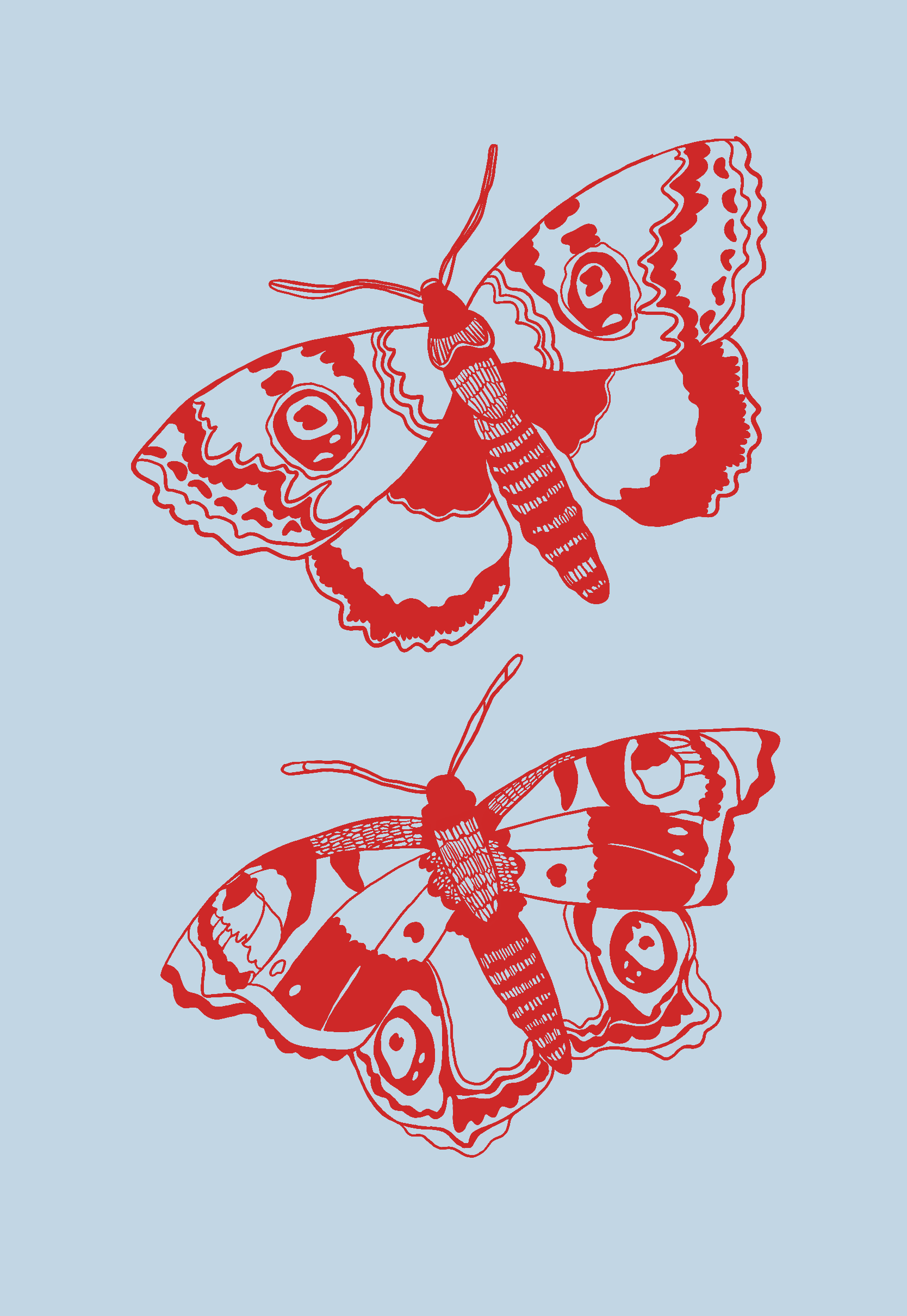 moth illustration 4.PNG