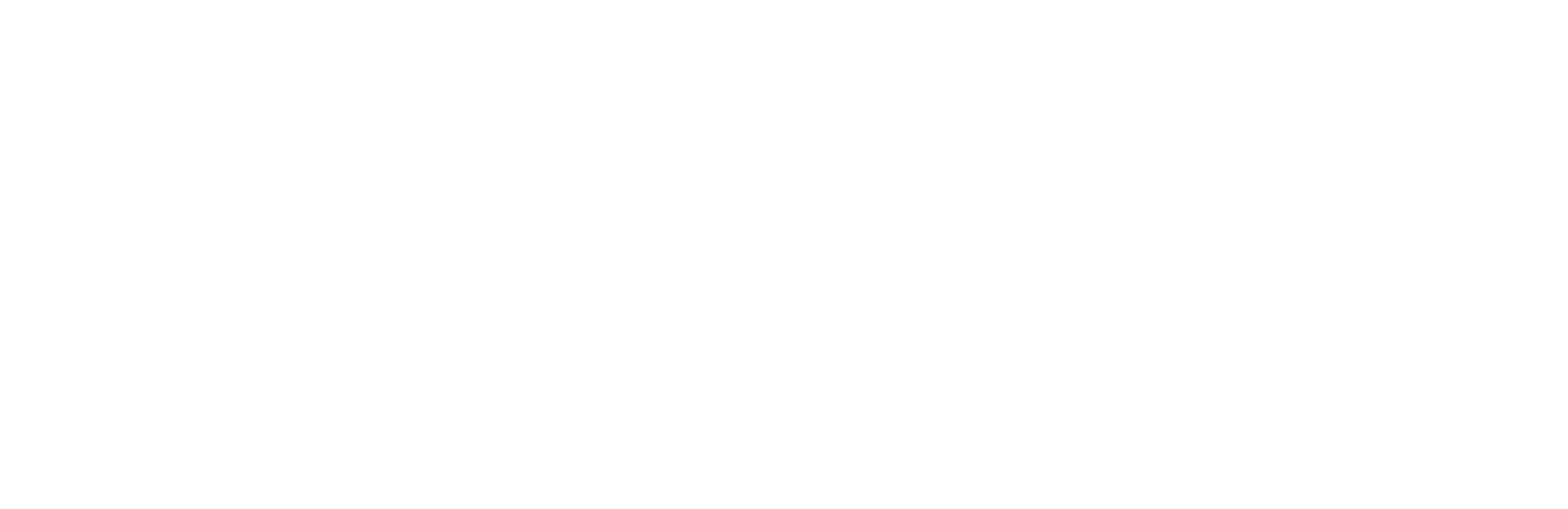 Zeffy logo