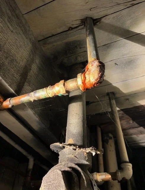 Plumbing specific inspection