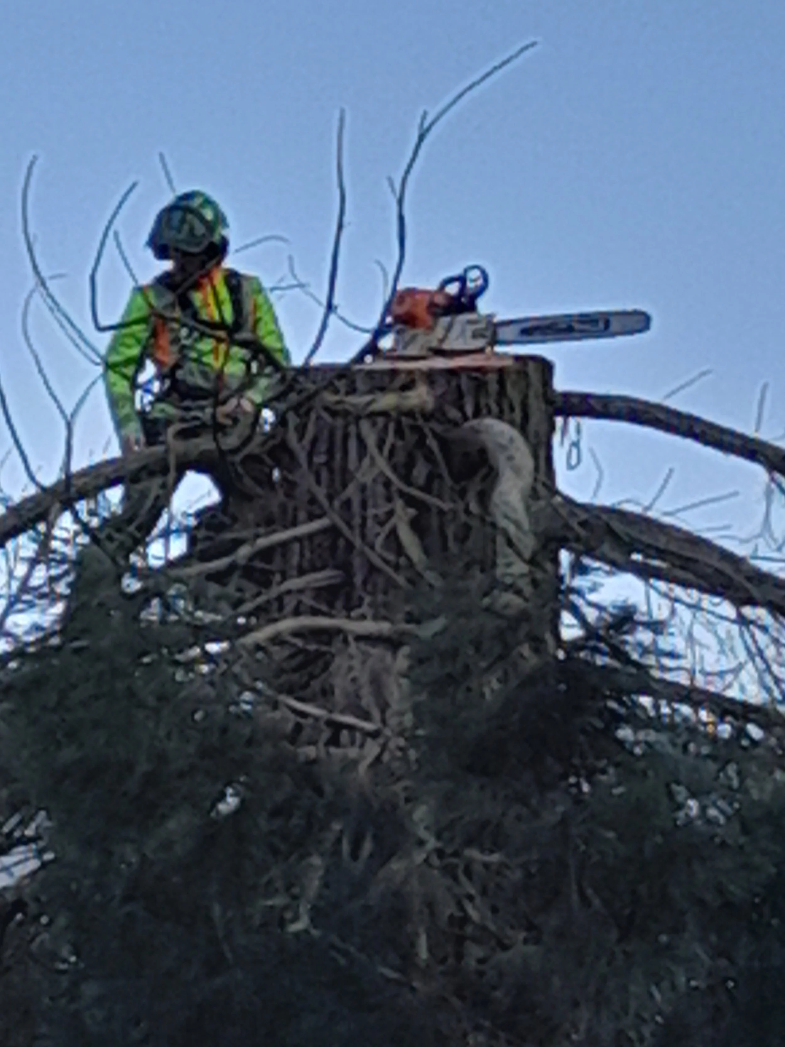20260220_095559.jpg