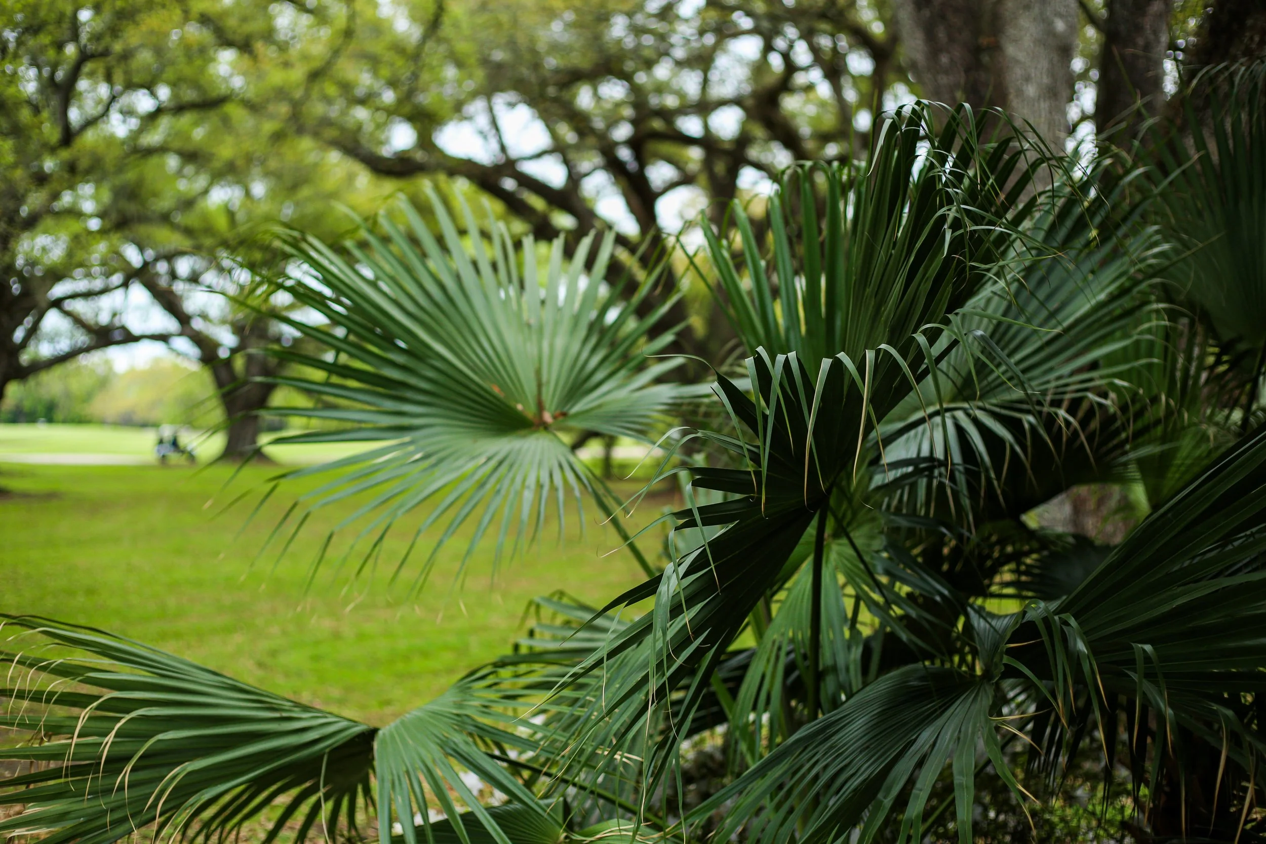 AudubonClubhouse_March2024-159 (1).jpg