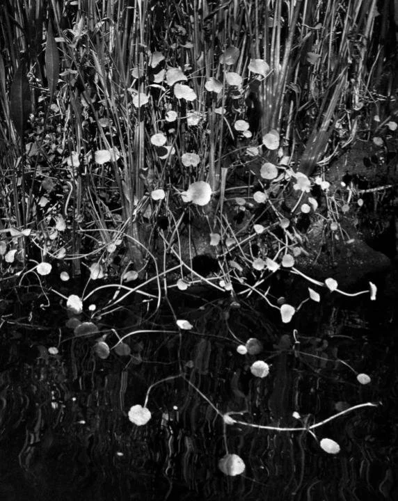 First Friday: “SCP Presents” Closing Reception