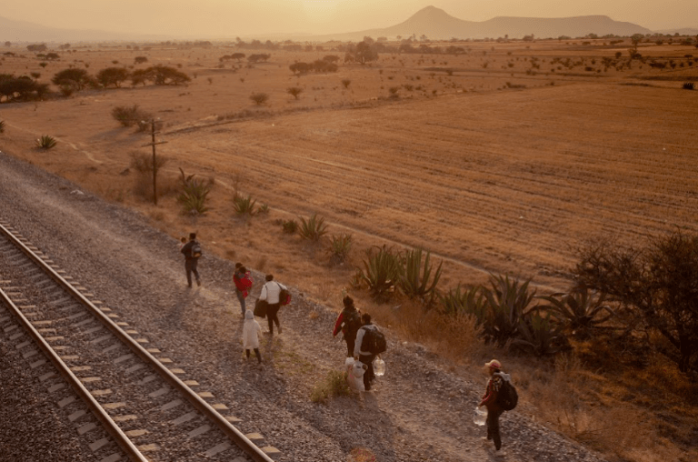 Borders-Cruzadas