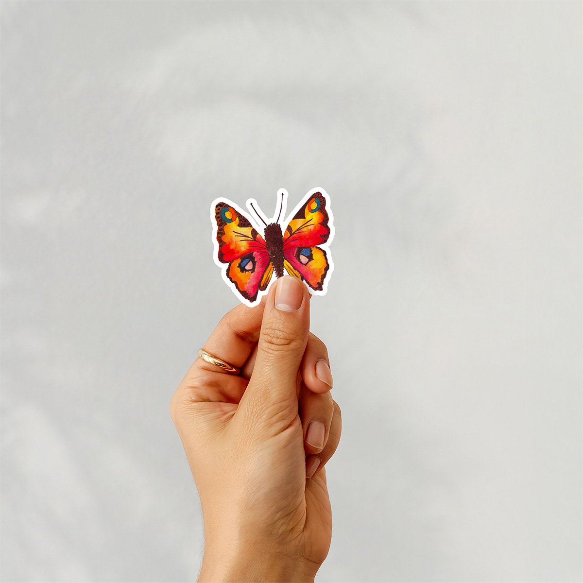Peacock-Butterfly-Sticker-Mockup-5x5.jpg