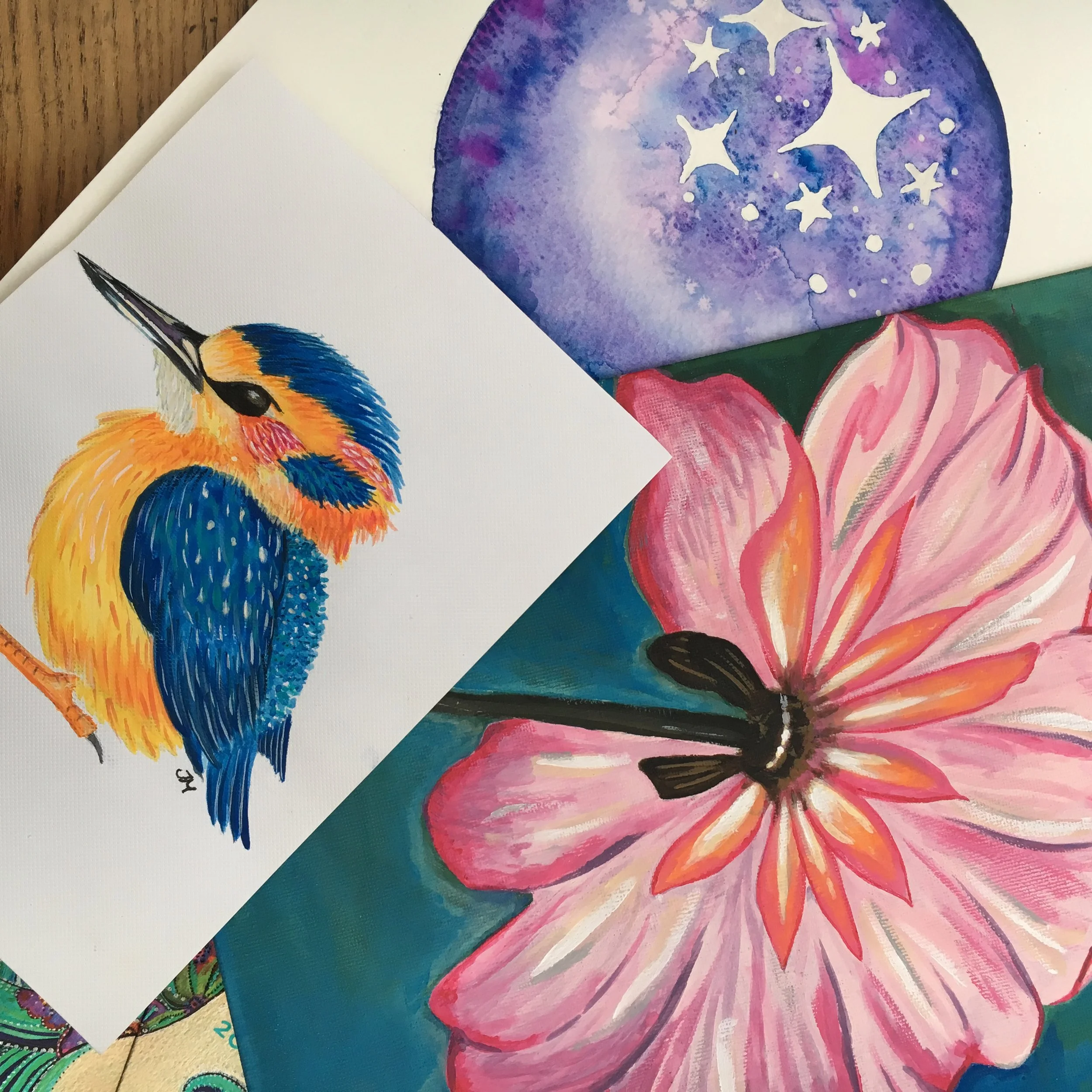 Paintings of a colorful bird, pink flower, and a starry night sky.