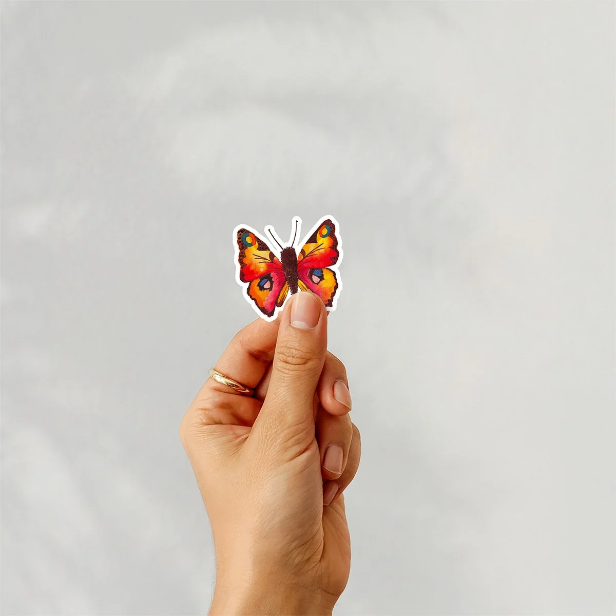 Peacock-Butterfly-Sticker-Mockup-4x4.jpg