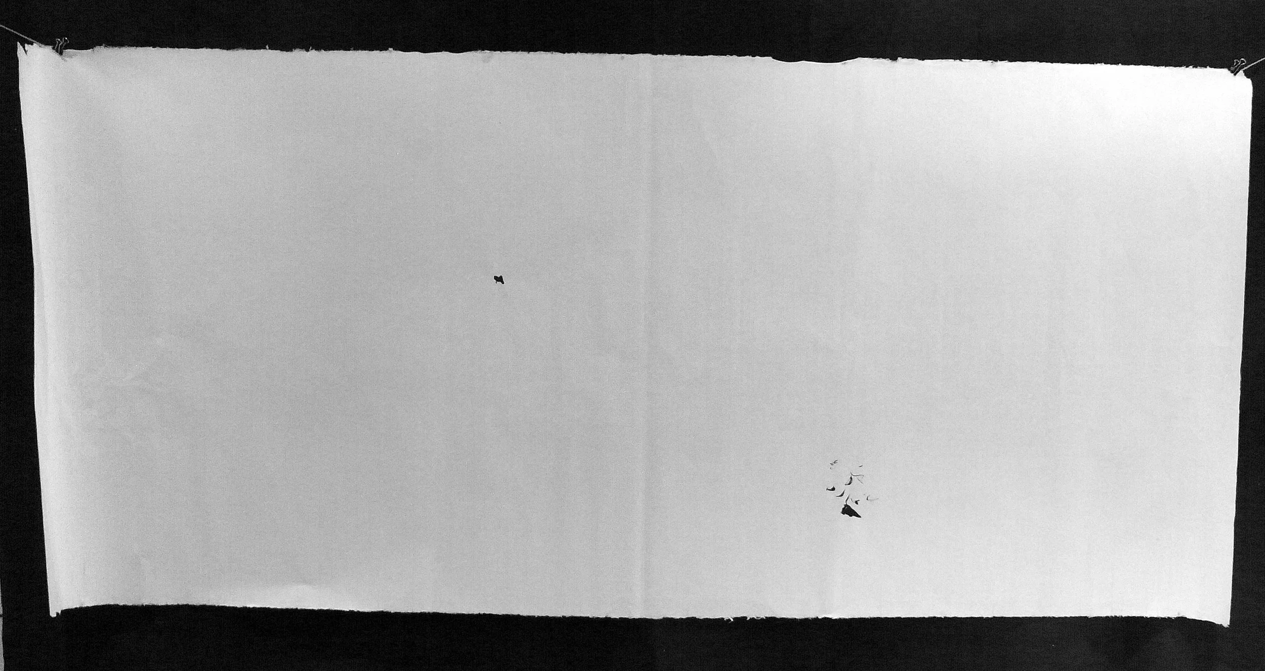 Kevin-Brown-Calligraphy-Life-Sentence-Cropped-I-R0025268ad.JPG