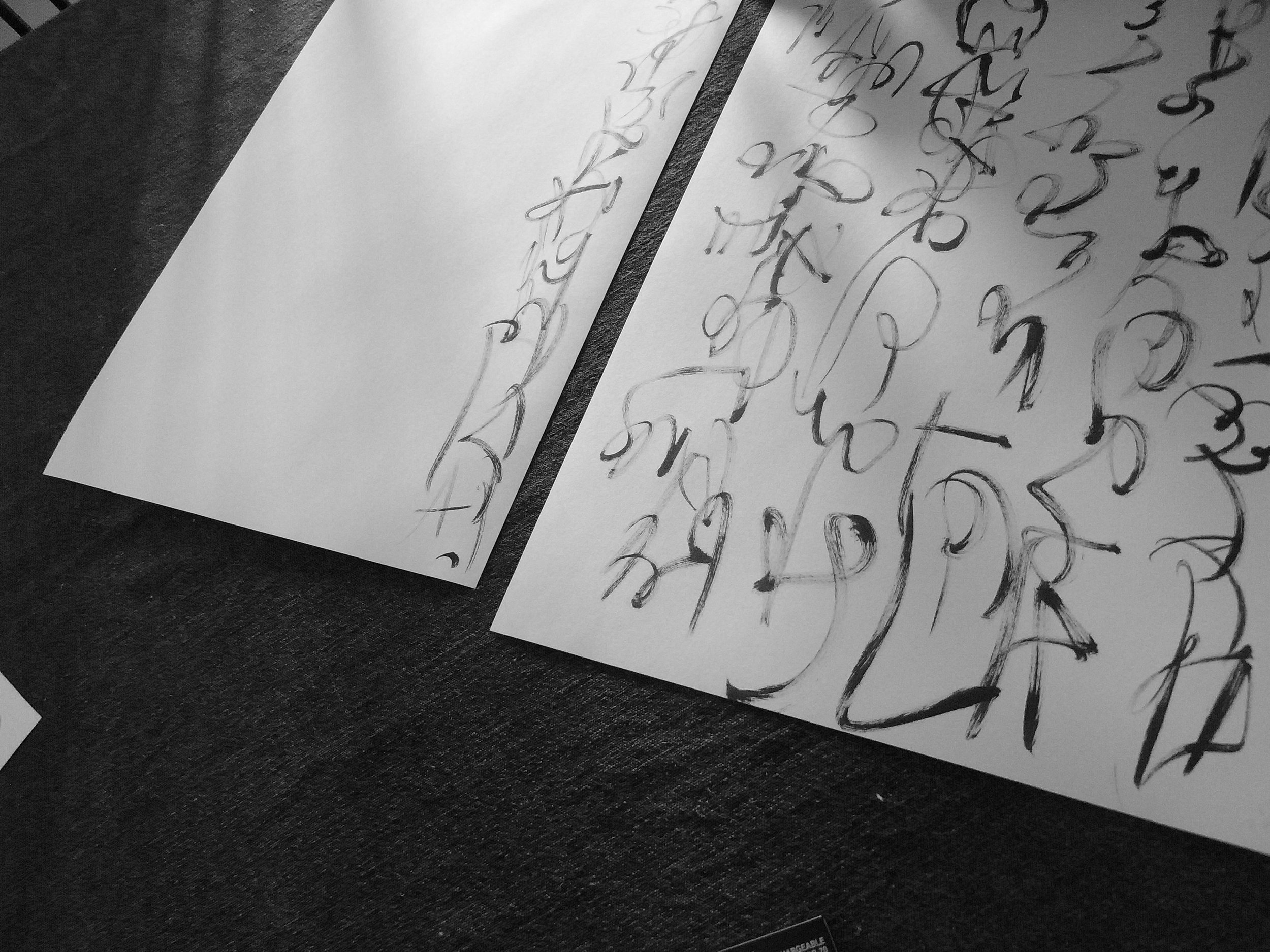 Kevin-Brown-Calligraphy-Constitution-R0020070.JPG
