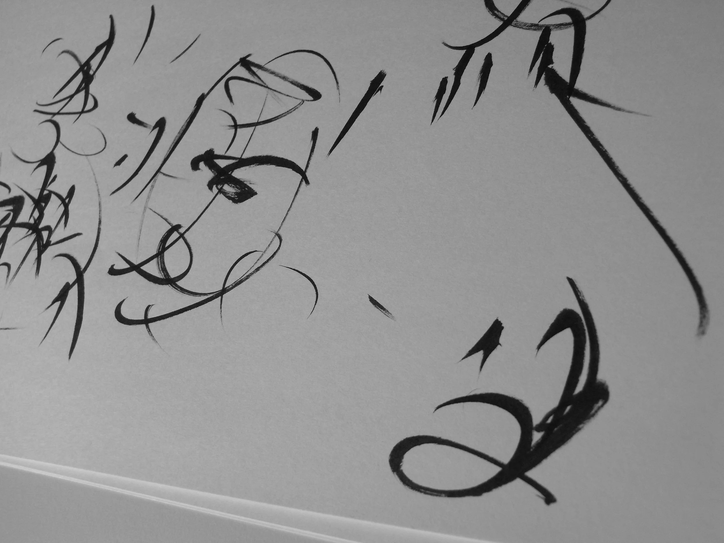 Kevin-Brown-Calligraphy-Quixotica-RIMG0600.JPG