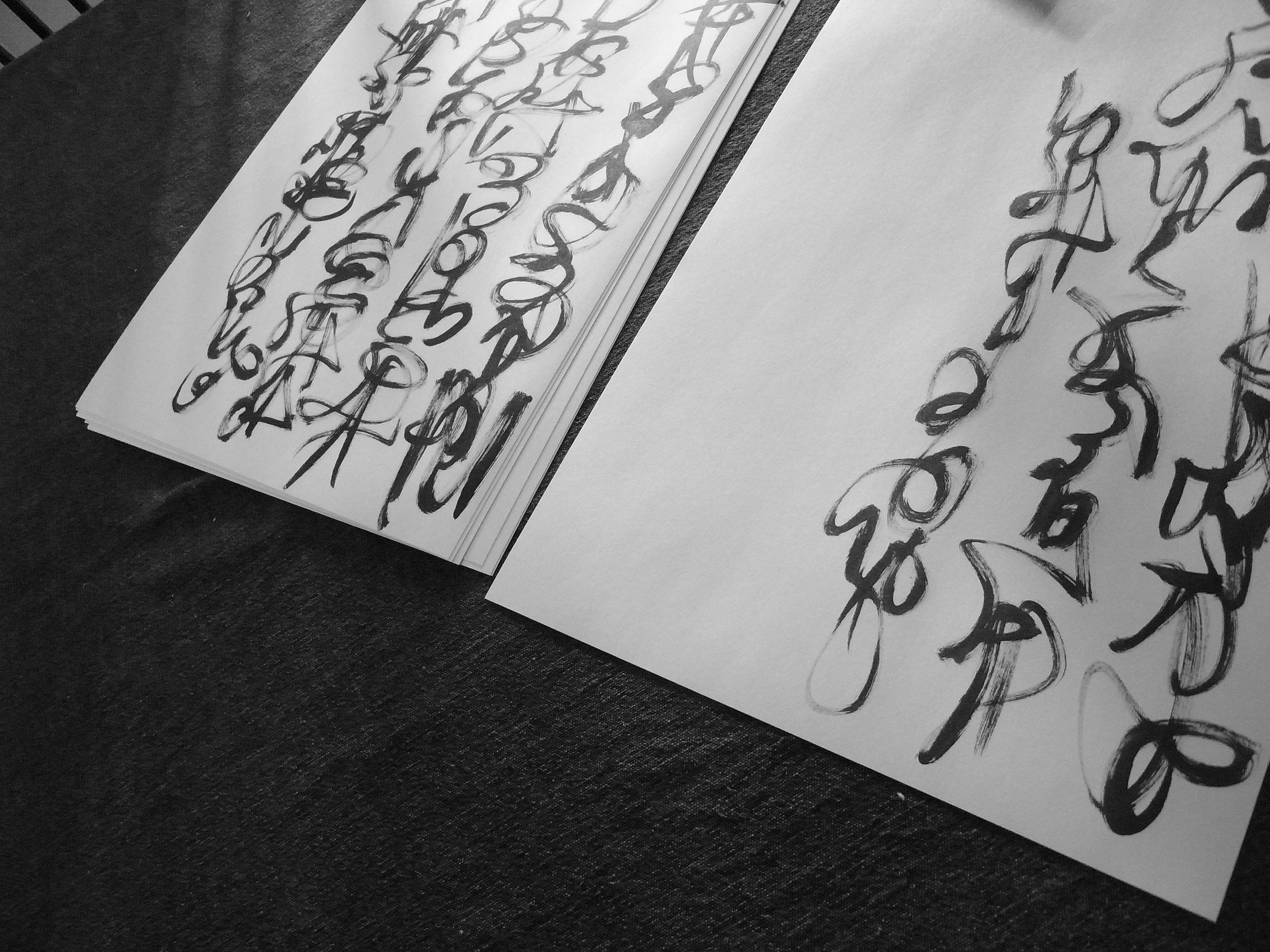 Kevin-Brown-Calligraphy-Constitution-R0019916.JPG