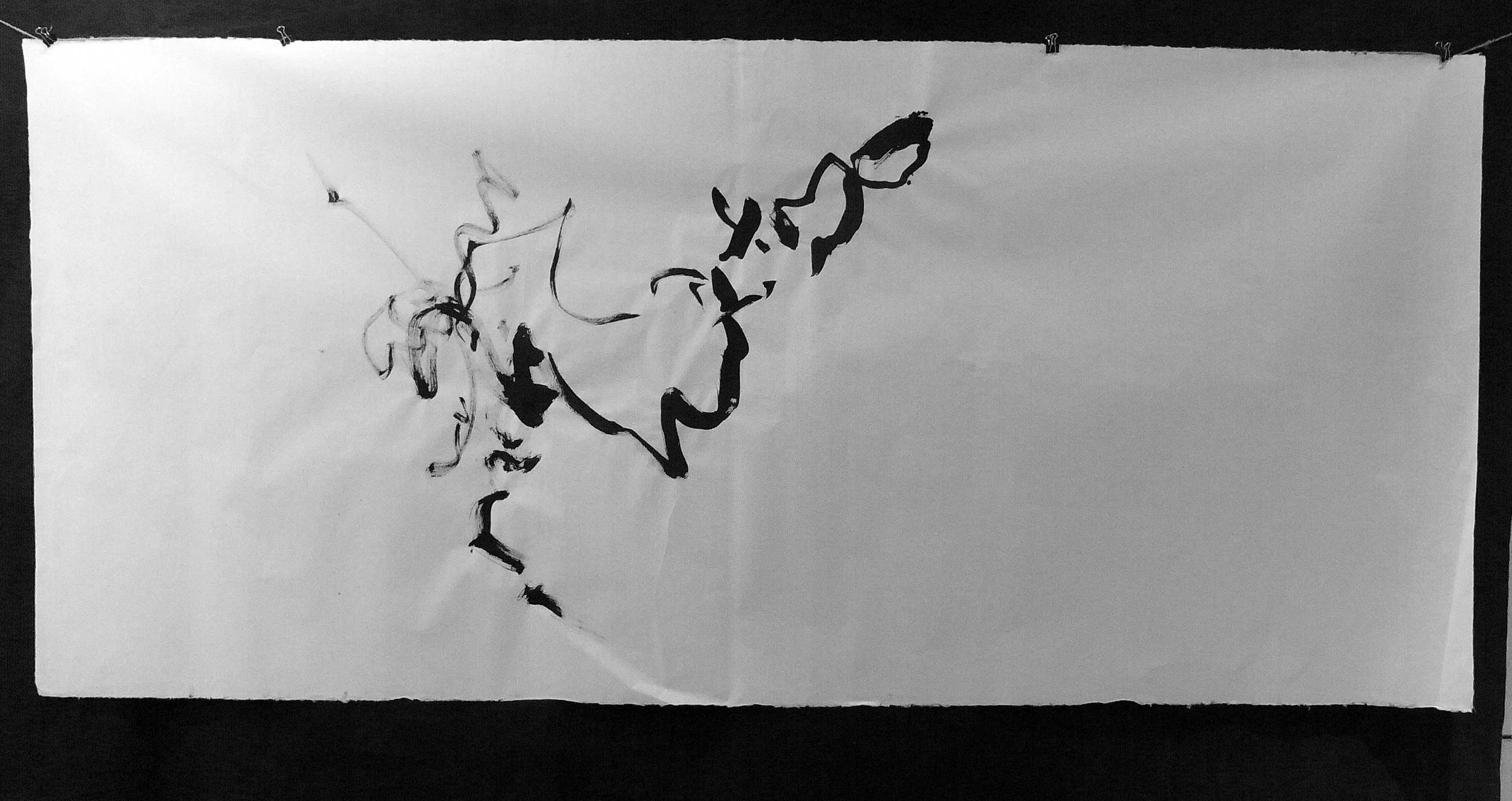 Kevin-Brown-Calligraphy-Life-Sentence-Cropped-II-R0027536ad.JPG
