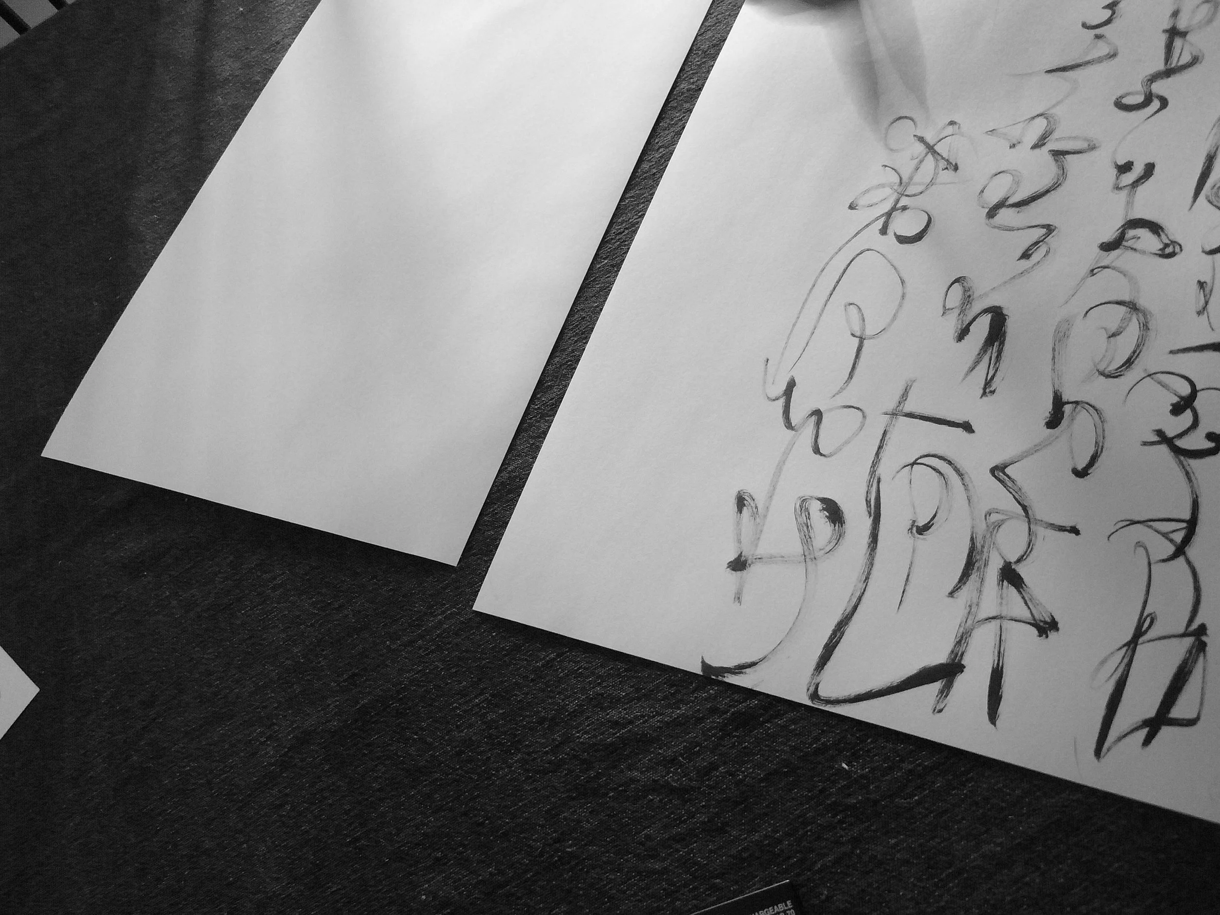 Kevin-Brown-Calligraphy-Constitution-R0020049.JPG