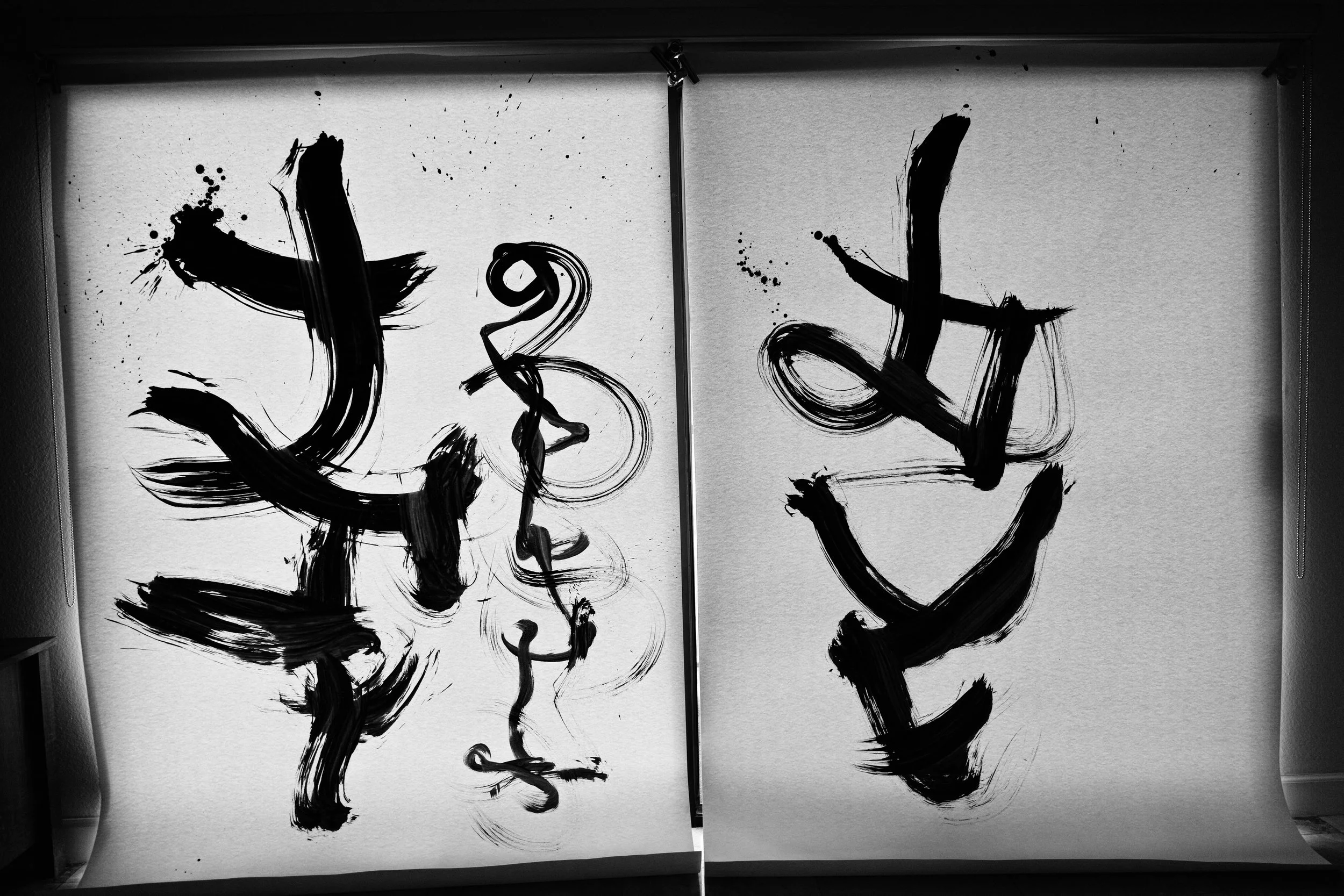 Kevin-Brown-Calligraphy-Room for art-DP1M4971A.jpg