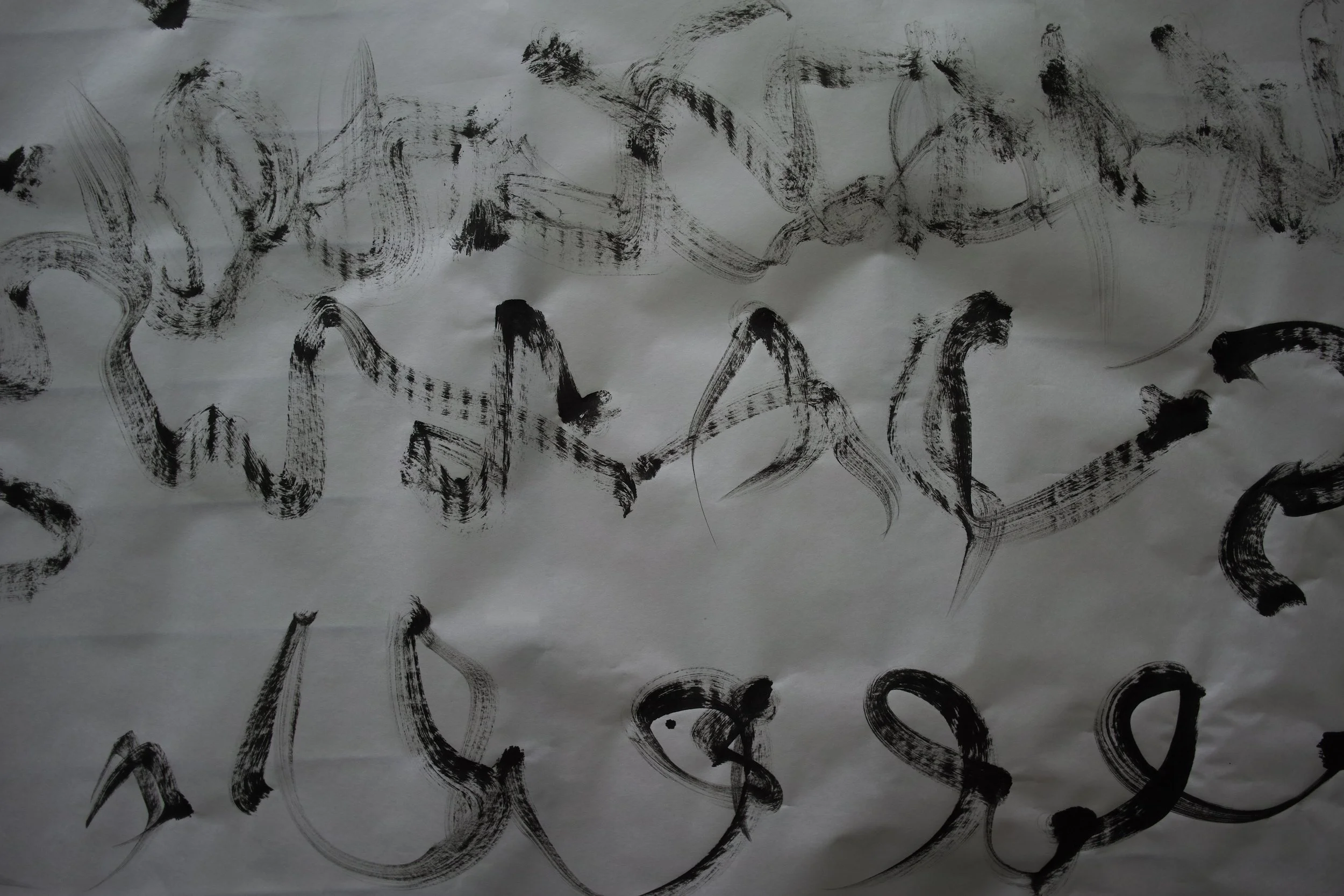 Kevin-Brown-Calligraphy-Sroll-DP1M2309.JPG
