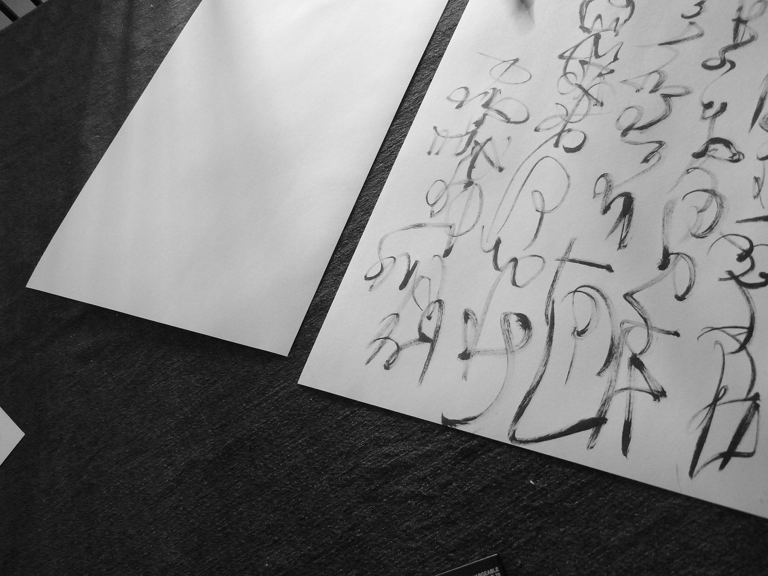 Kevin-Brown-Calligraphy-Constitution-R0020058.JPG