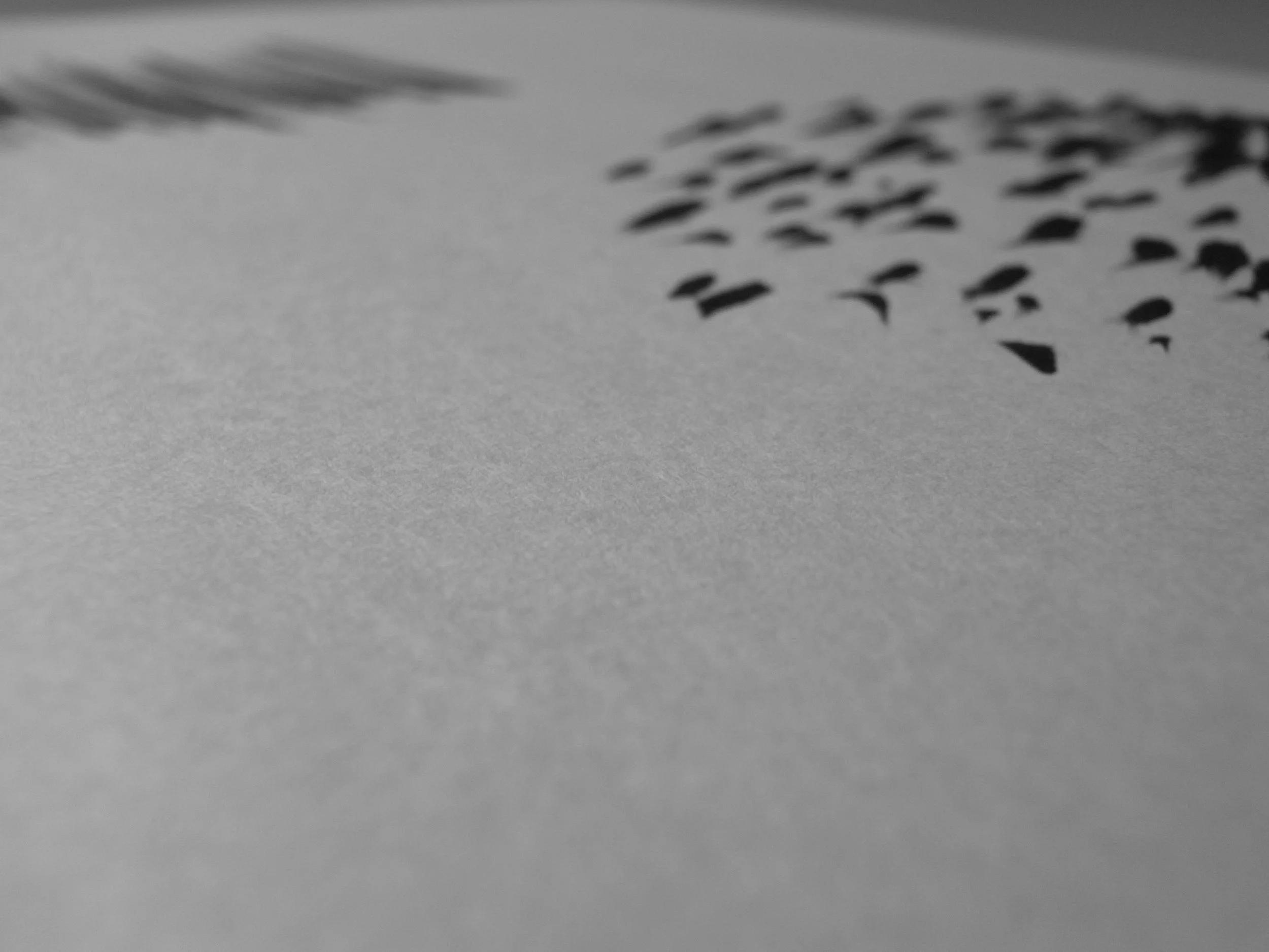 Kevin-Brown-Calligraphy-Quixotica-RIMG0607.JPG