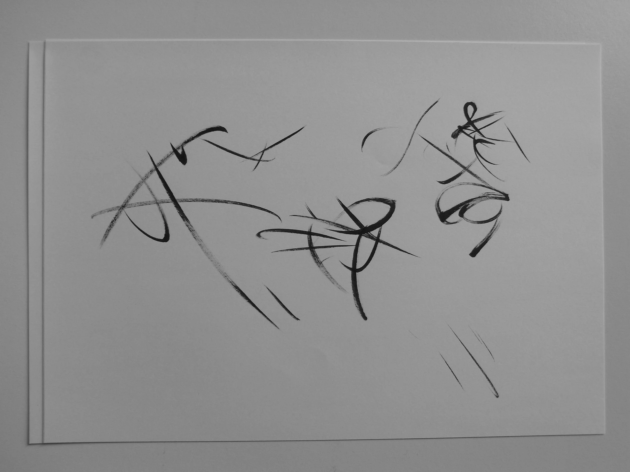 Kevin-Brown-Calligraphy-Quixotica-RIMG0620.JPG