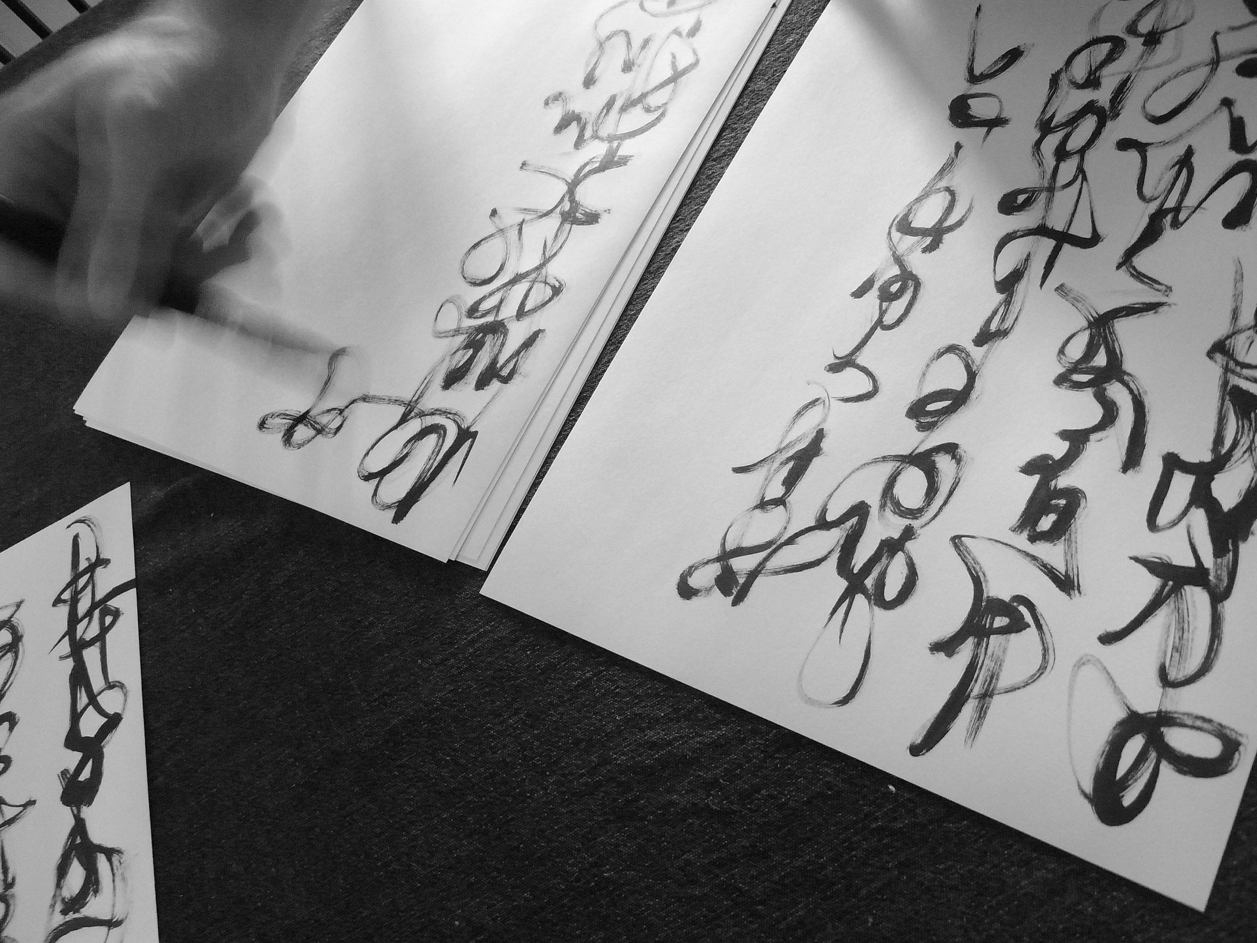 Kevin-Brown-Calligraphy-Constitution-R0019934.JPG