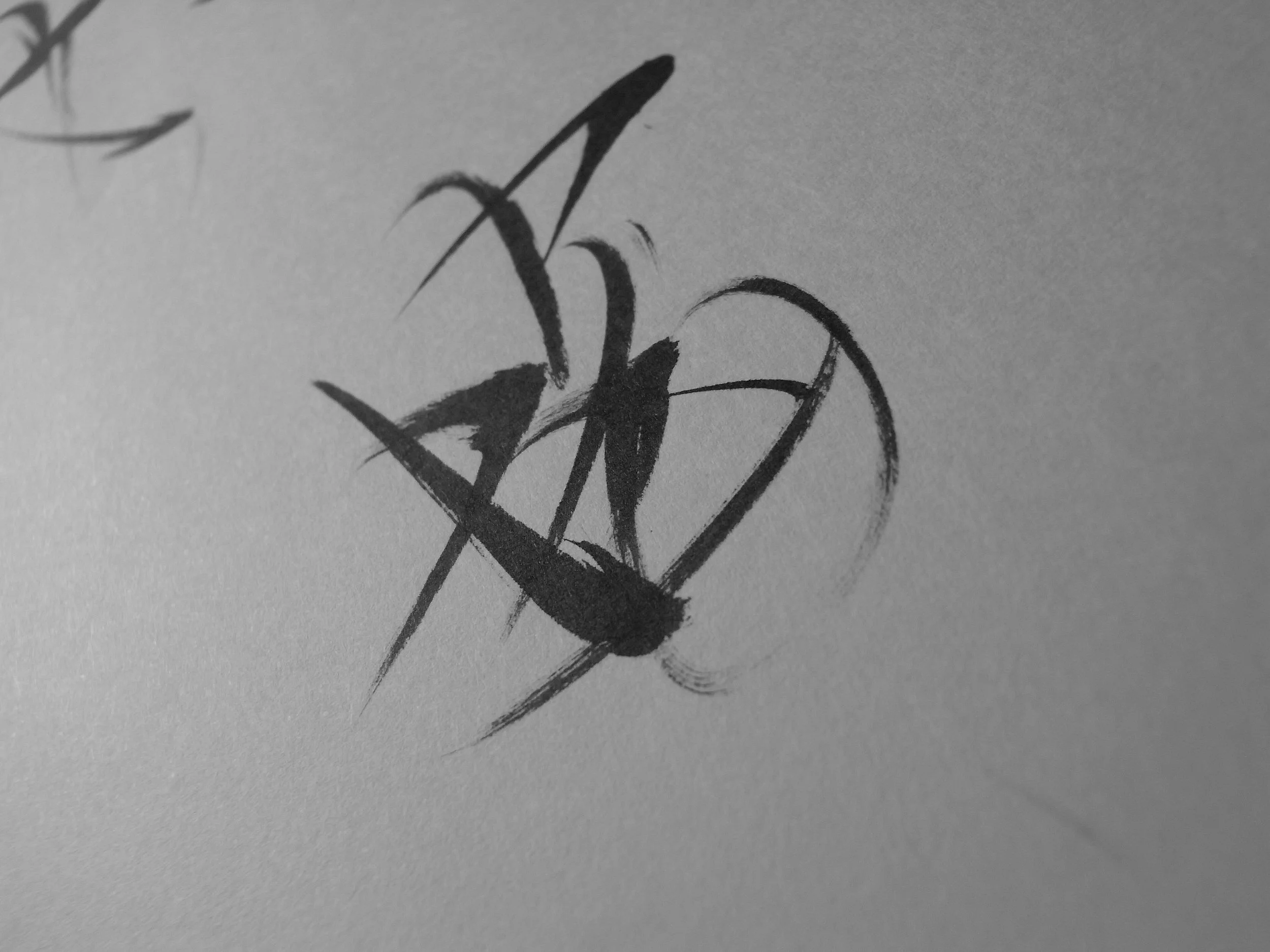 Kevin-Brown-Calligraphy-Quixotica-RIMG0601.JPG