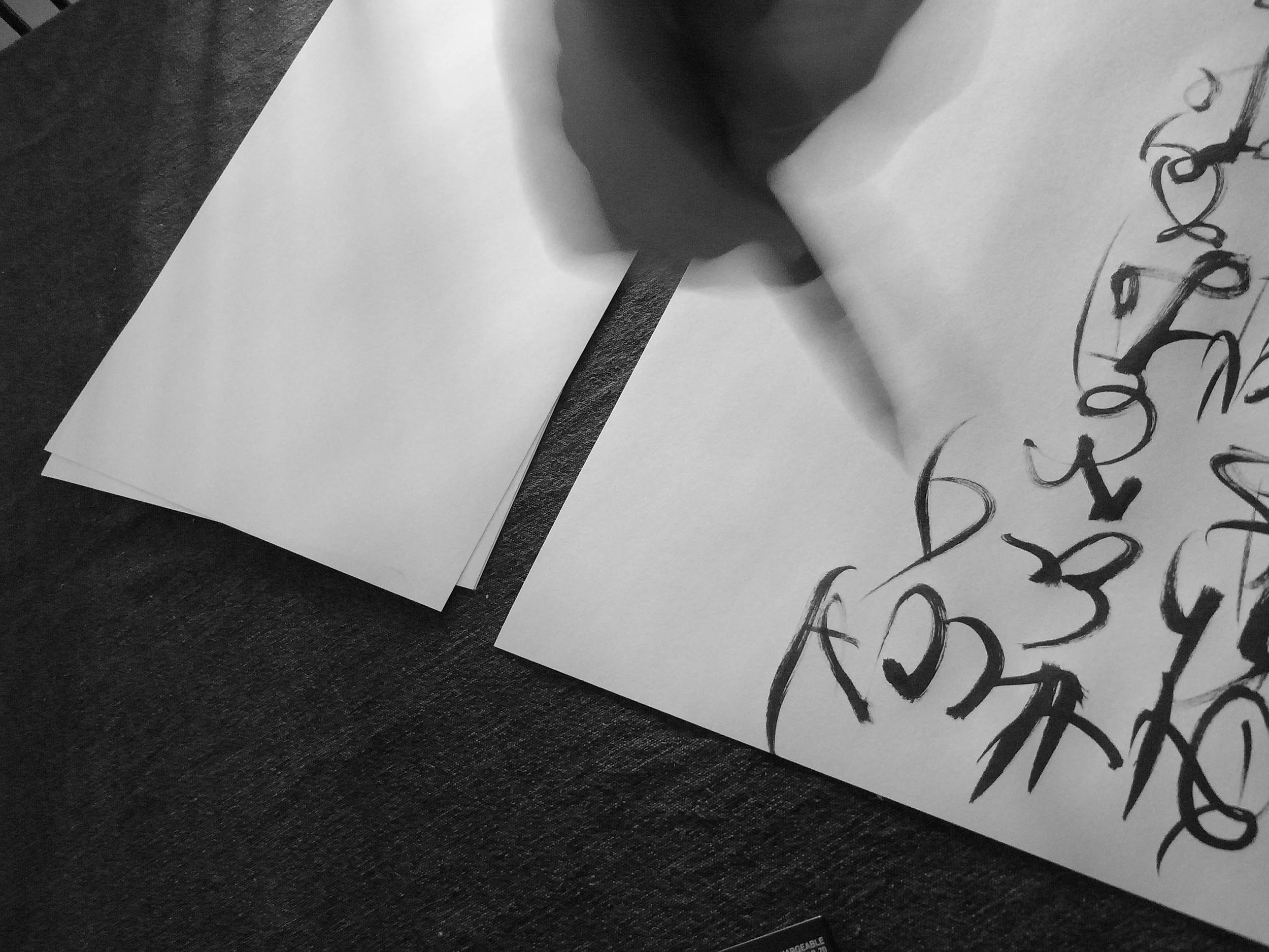 Kevin-Brown-Calligraphy-Constitution-R0019973.JPG