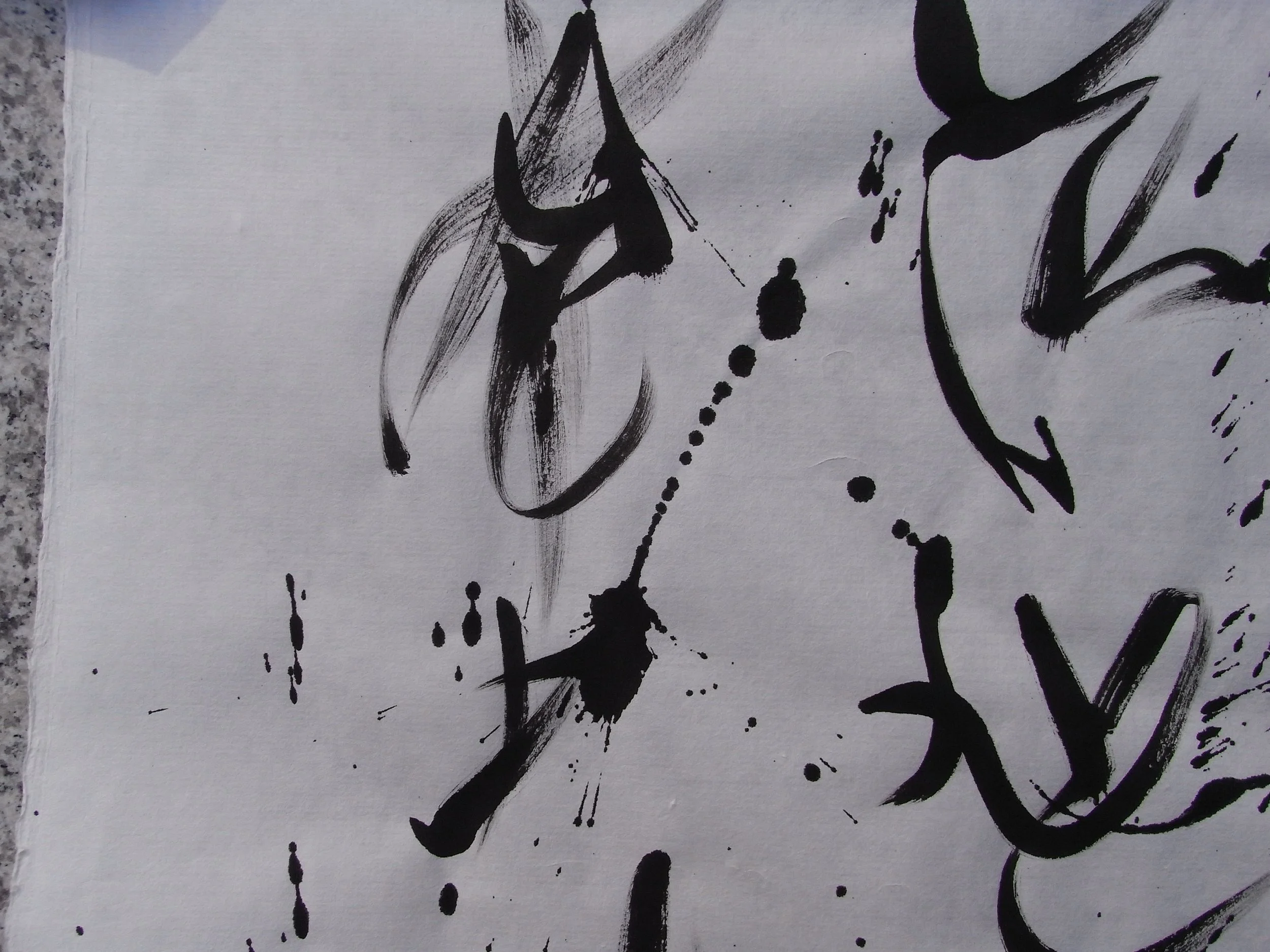Kevin-Brown-Calligraphy-Praying-Mantis-RIMG1229.JPG