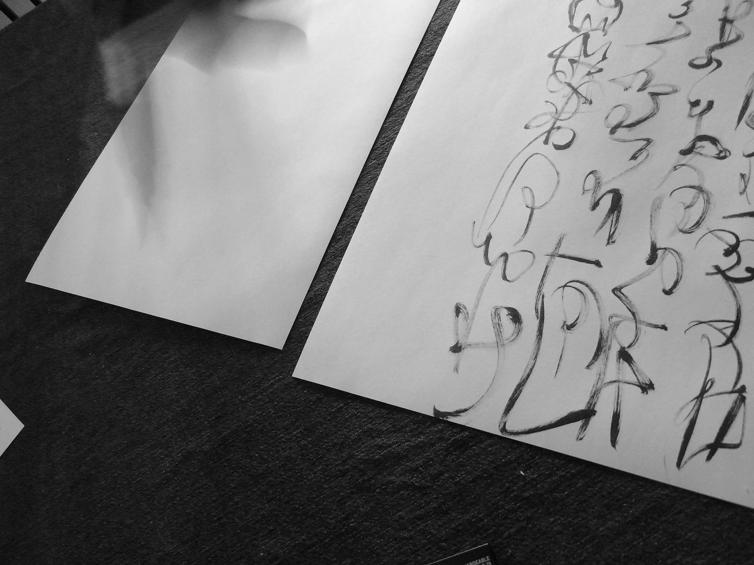 Kevin-Brown-Calligraphy-Constitution-R0020052.JPG