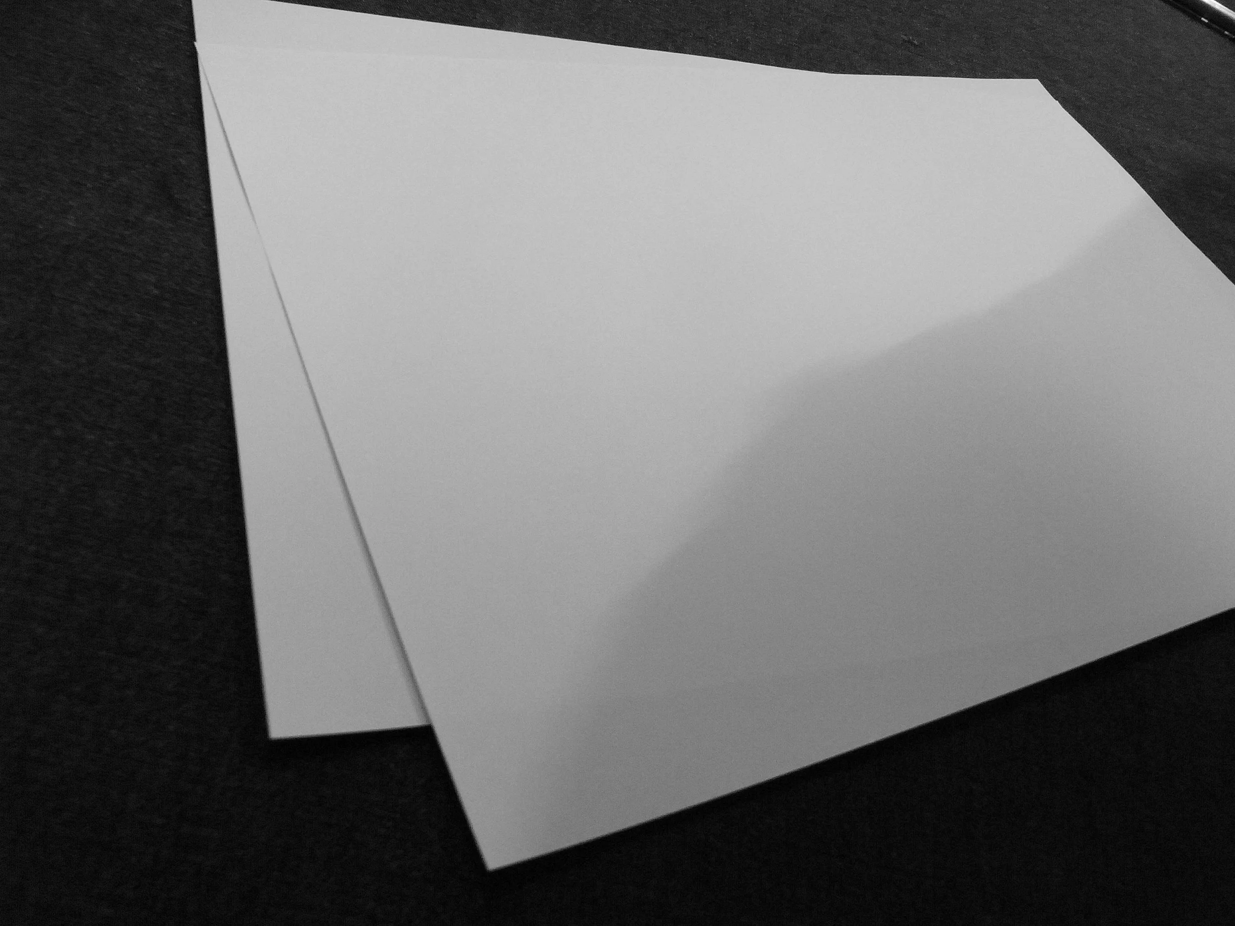 Kevin-Brown-Calligraphy-Loose-leaf-R0021094.JPG