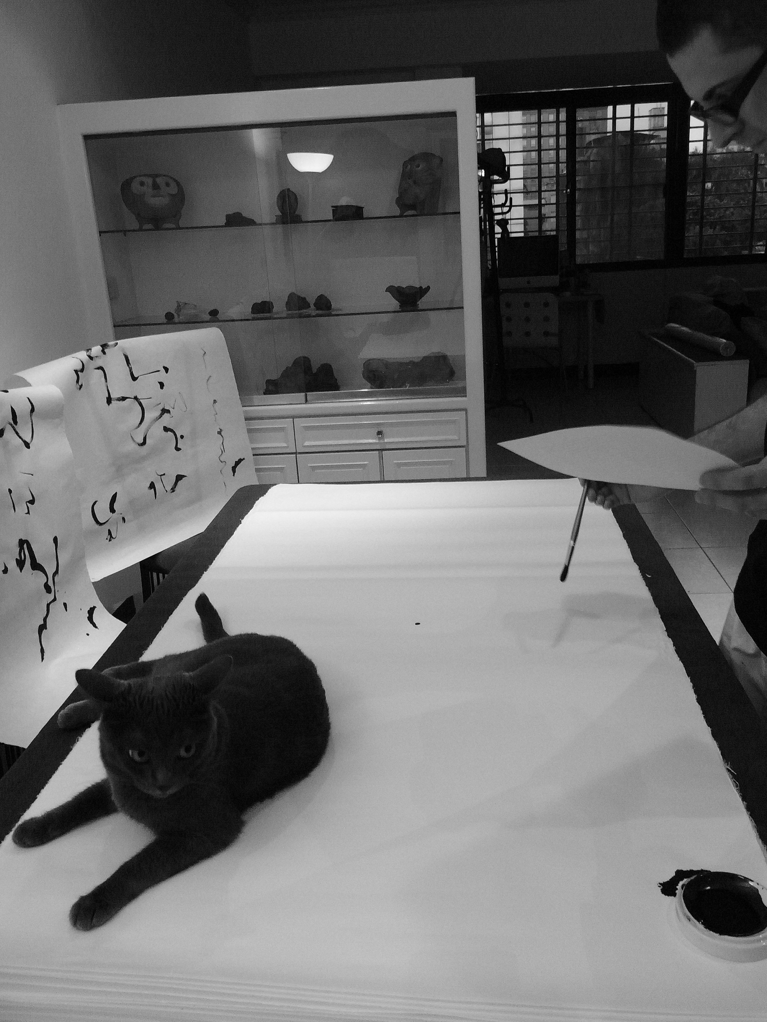 Kevin-Brown-Calligraphy-Life-Sentence-II-R0023981.JPG