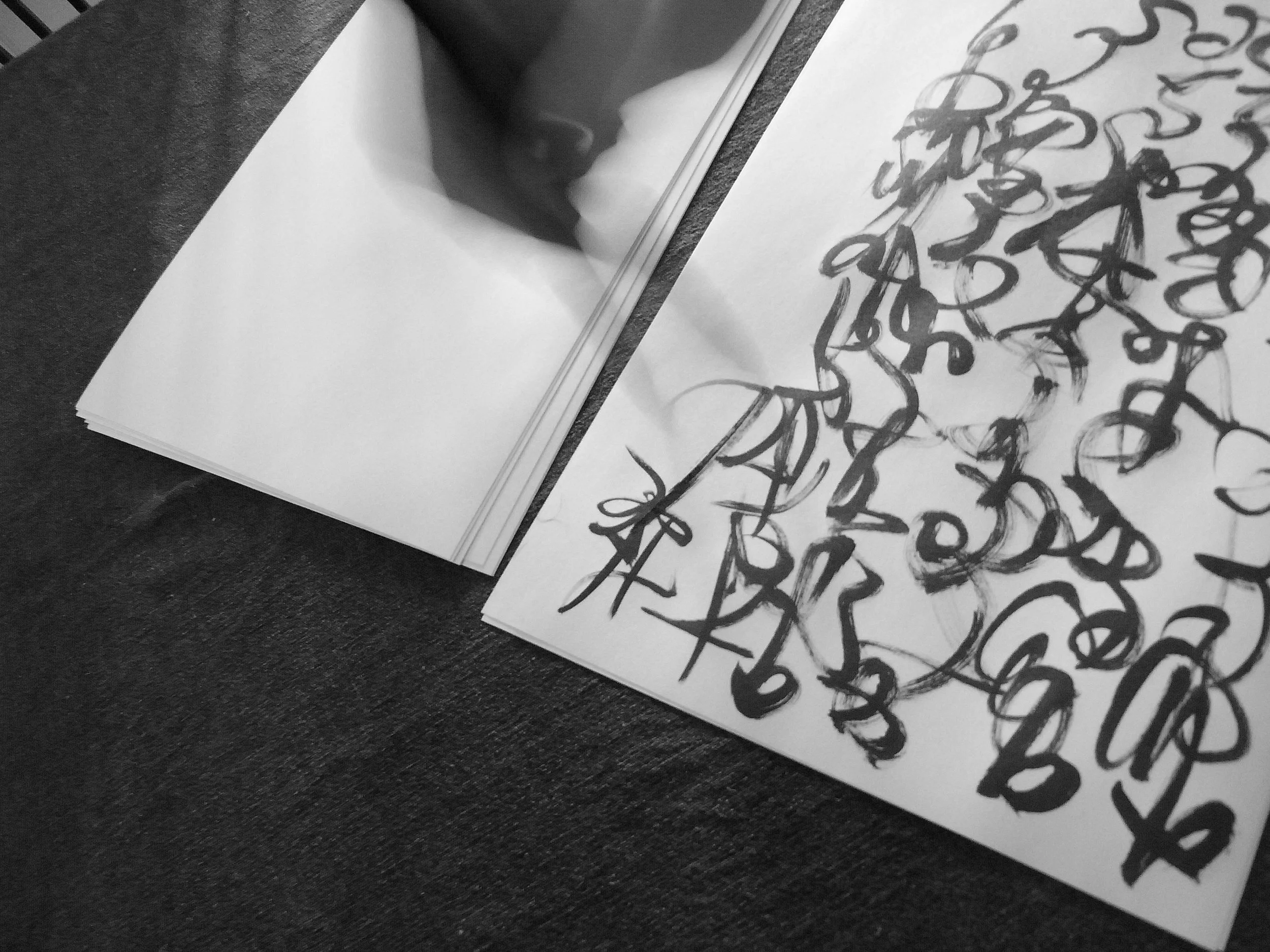 Kevin-Brown-Calligraphy-Constitution-R0019856.JPG