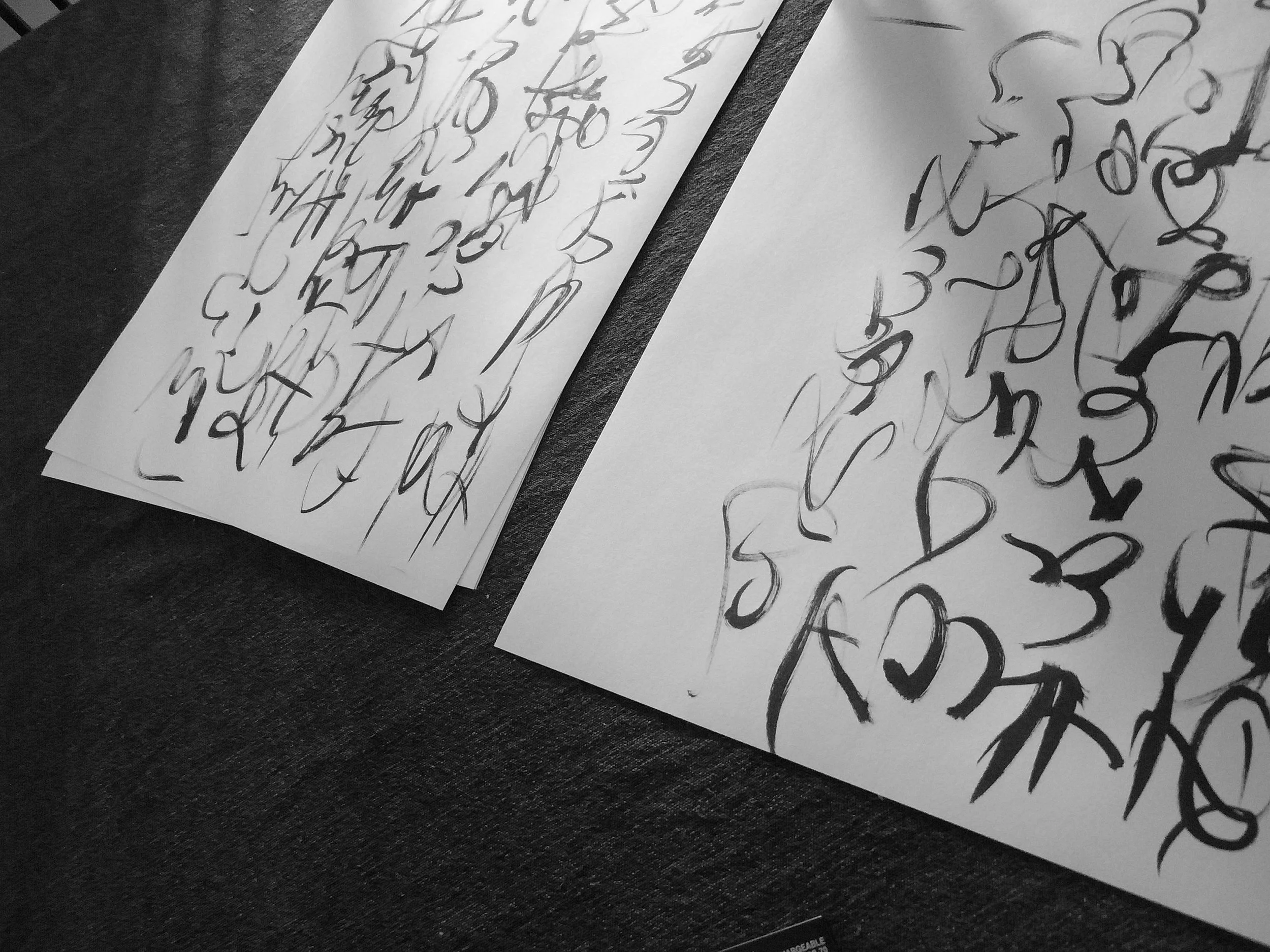 Kevin-Brown-Calligraphy-Constitution-R0020022.JPG
