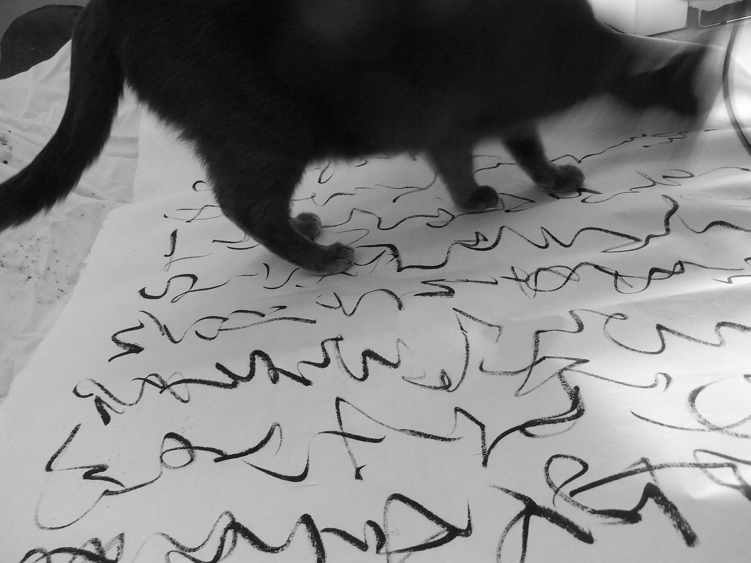 Kevin-Brown-Calligraphy-Blue-Cat-R0020199.JPG