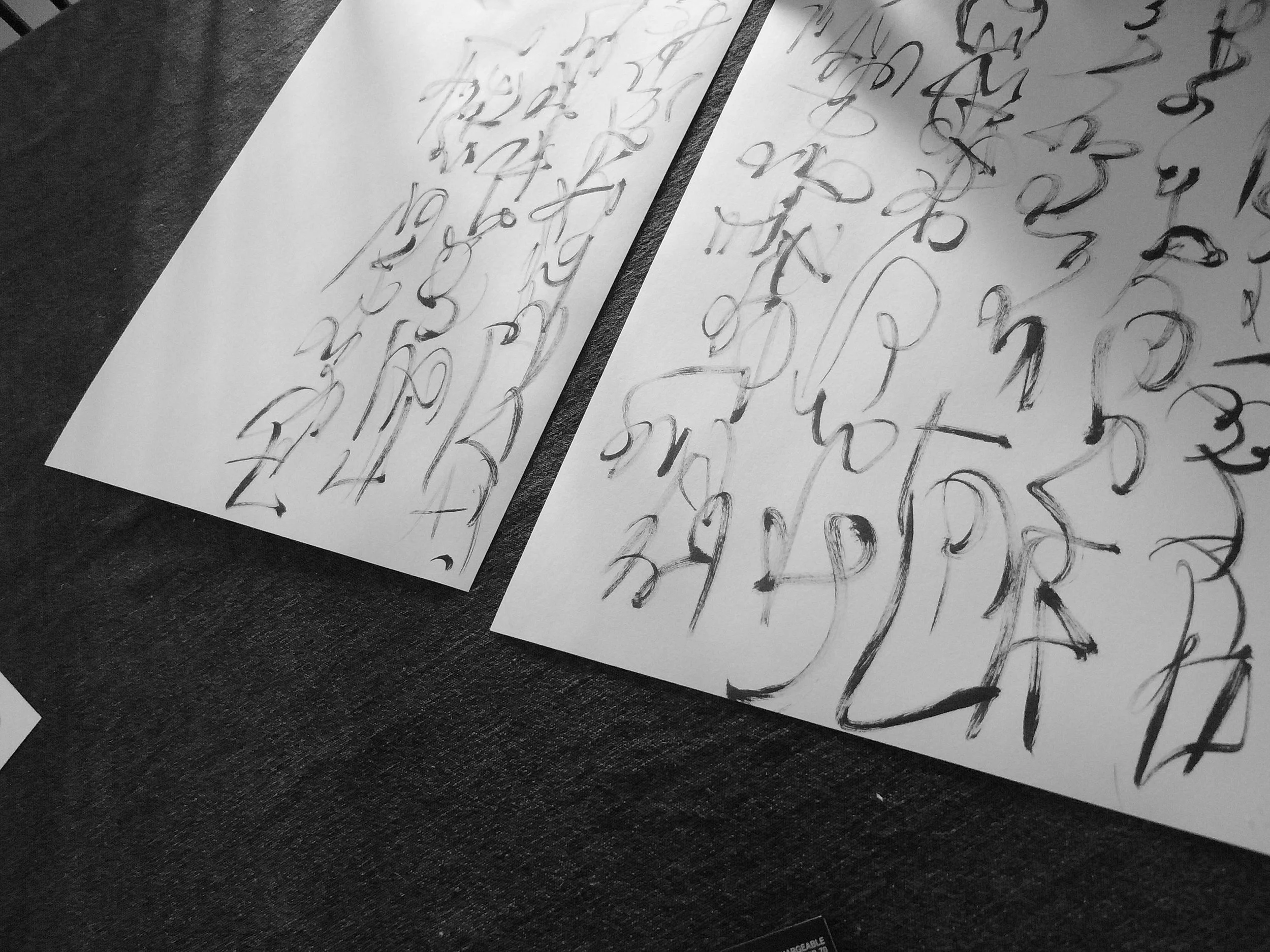 Kevin-Brown-Calligraphy-Constitution-R0020088.JPG