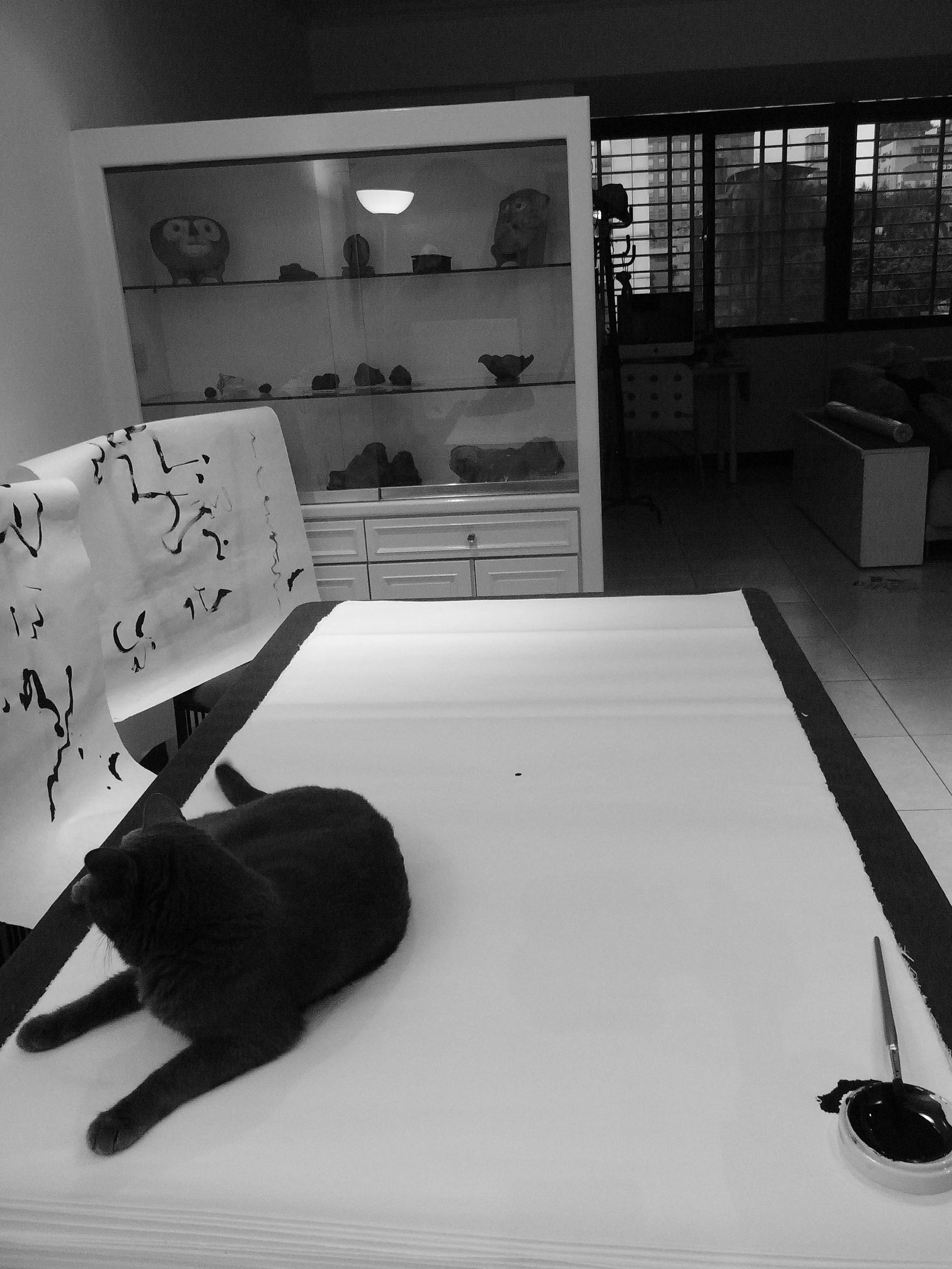 Kevin-Brown-Calligraphy-Life-Sentence-II-R0023978.JPG