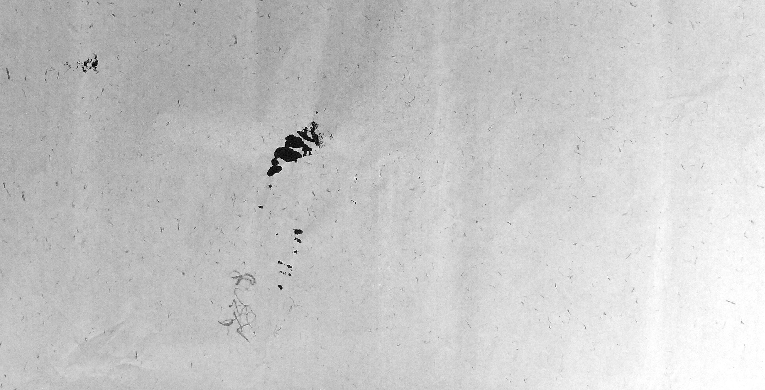 Kevin-Brown-Calligraphy-Life-Sentence-Cropped-II-R0027584ad.JPG