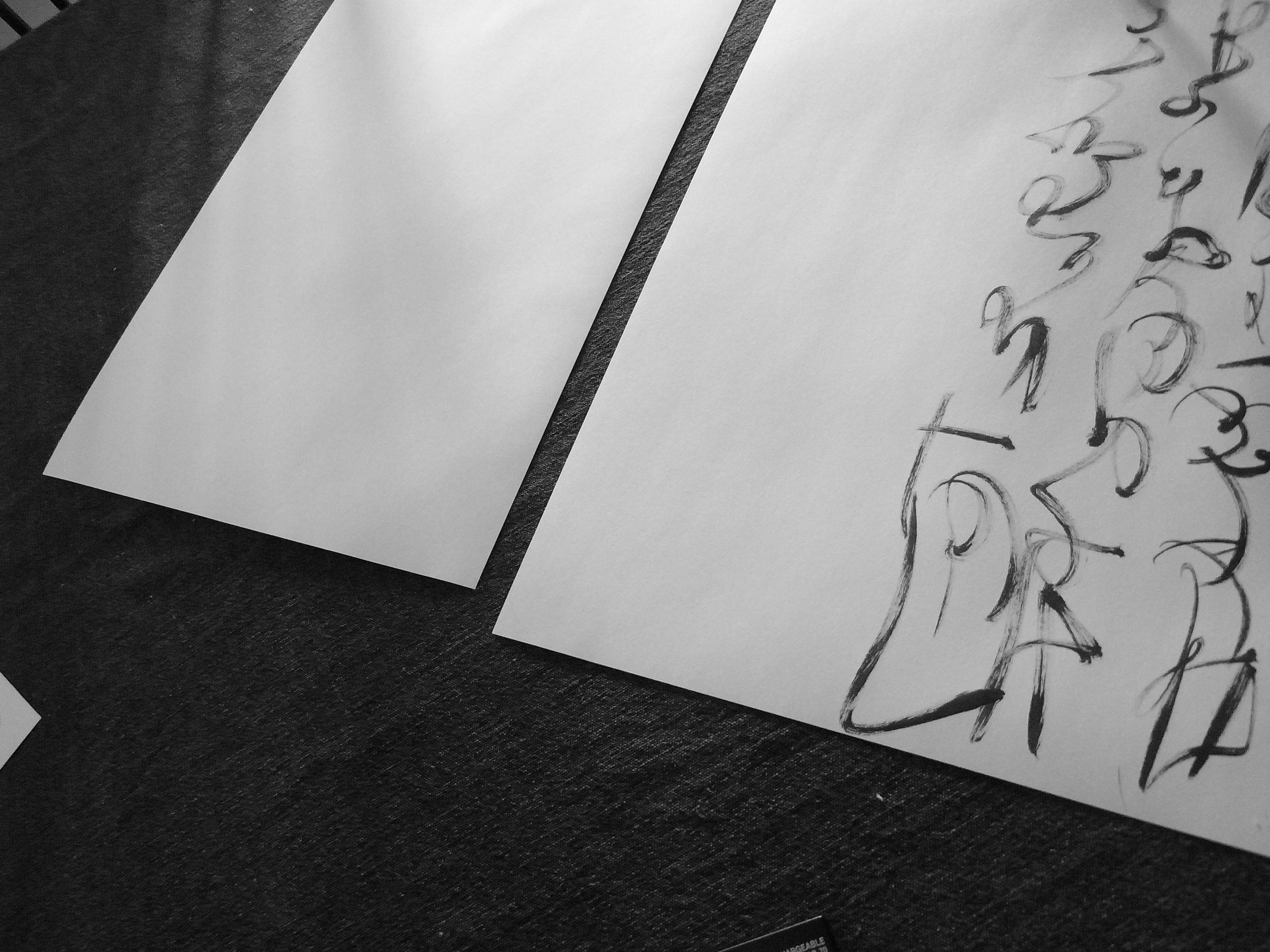 Kevin-Brown-Calligraphy-Constitution-R0020046.JPG