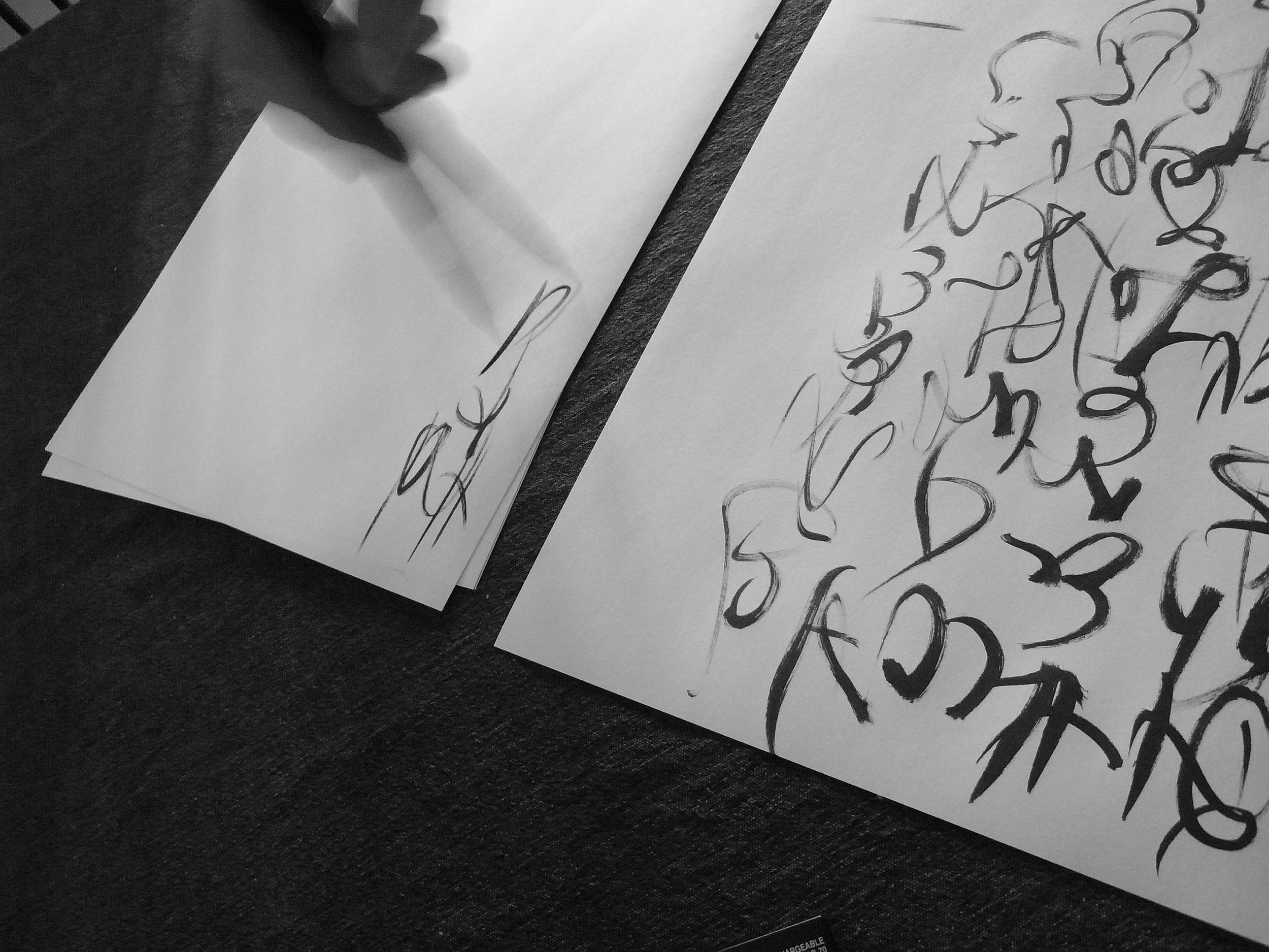 Kevin-Brown-Calligraphy-Constitution-R0019988.JPG