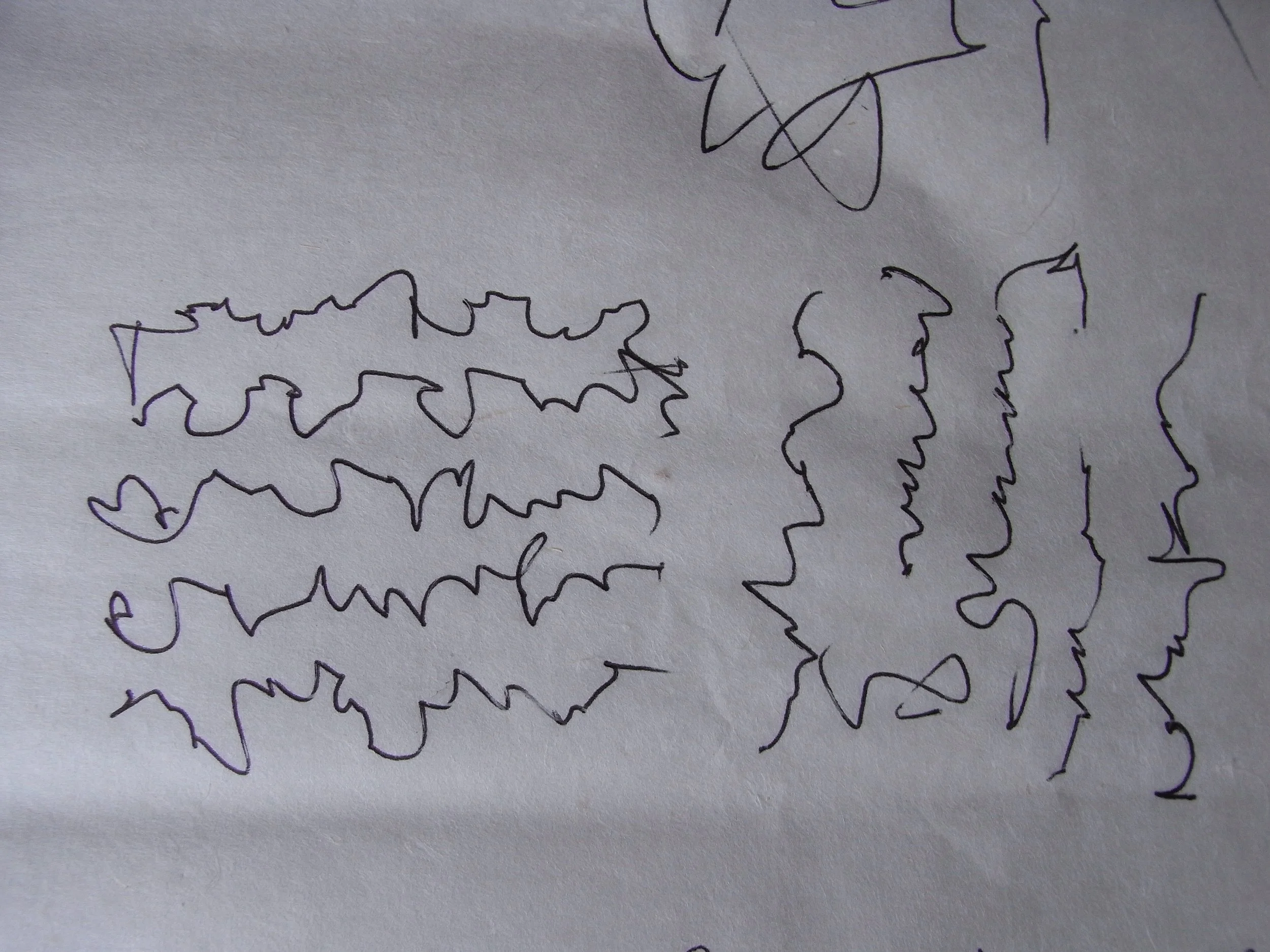 Kevin-Brown-Calligraphy-Open-letter-RIMG1151.JPG