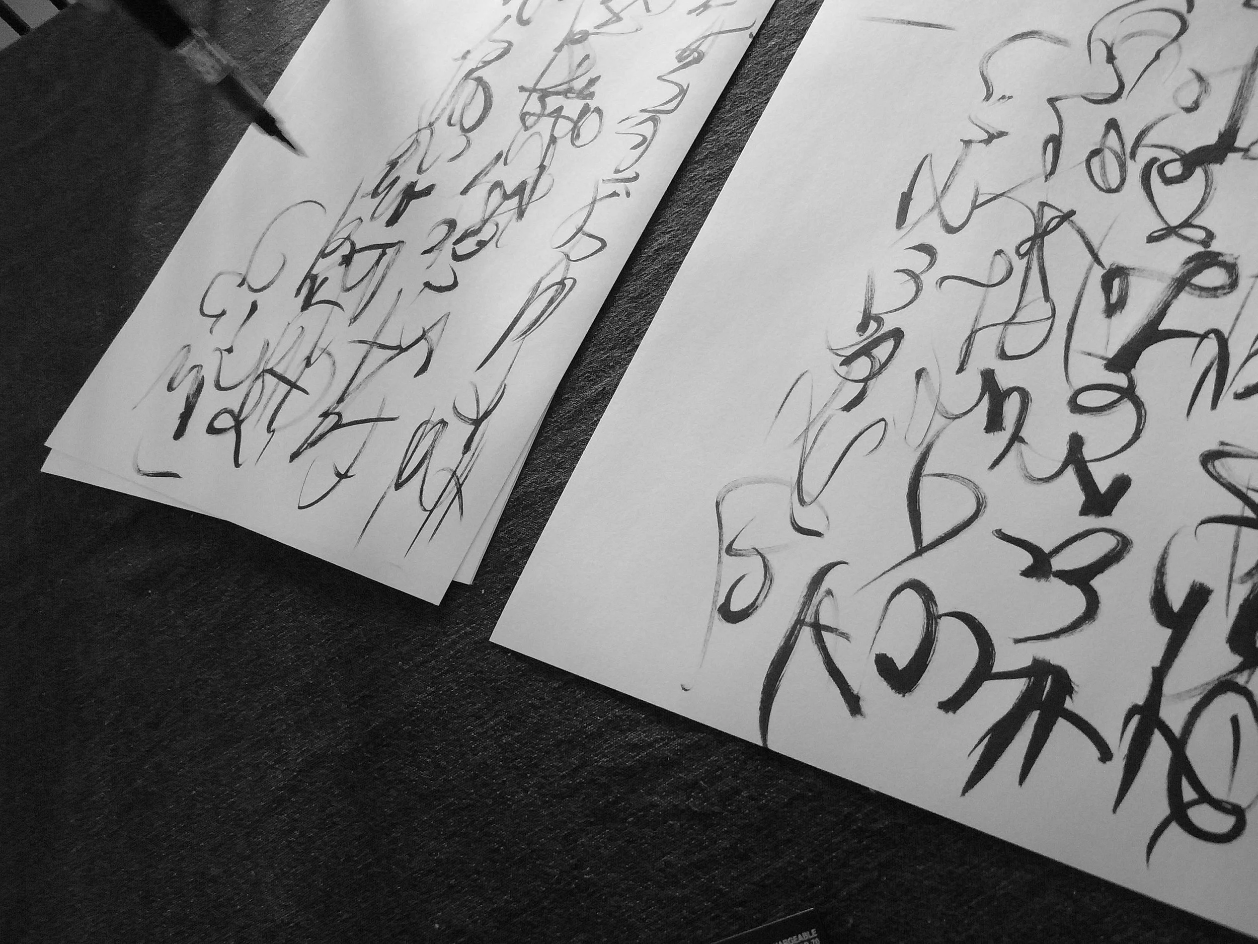 Kevin-Brown-Calligraphy-Constitution-R0020013.JPG