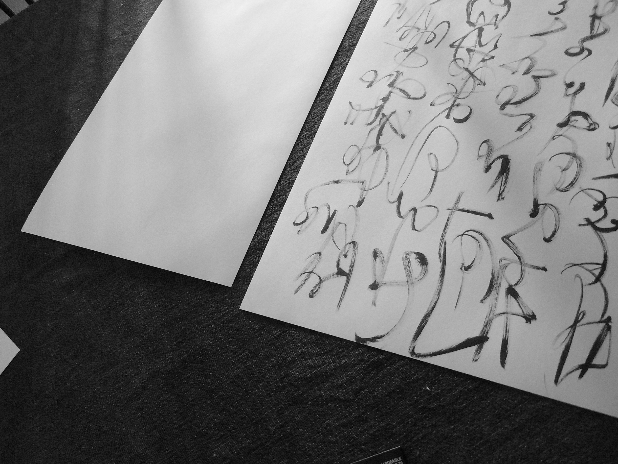 Kevin-Brown-Calligraphy-Constitution-R0020061.JPG