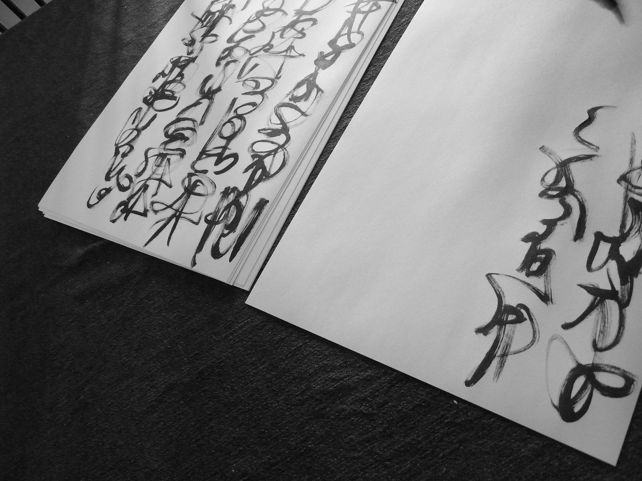 Kevin-Brown-Calligraphy-Constitution-R0019910.JPG
