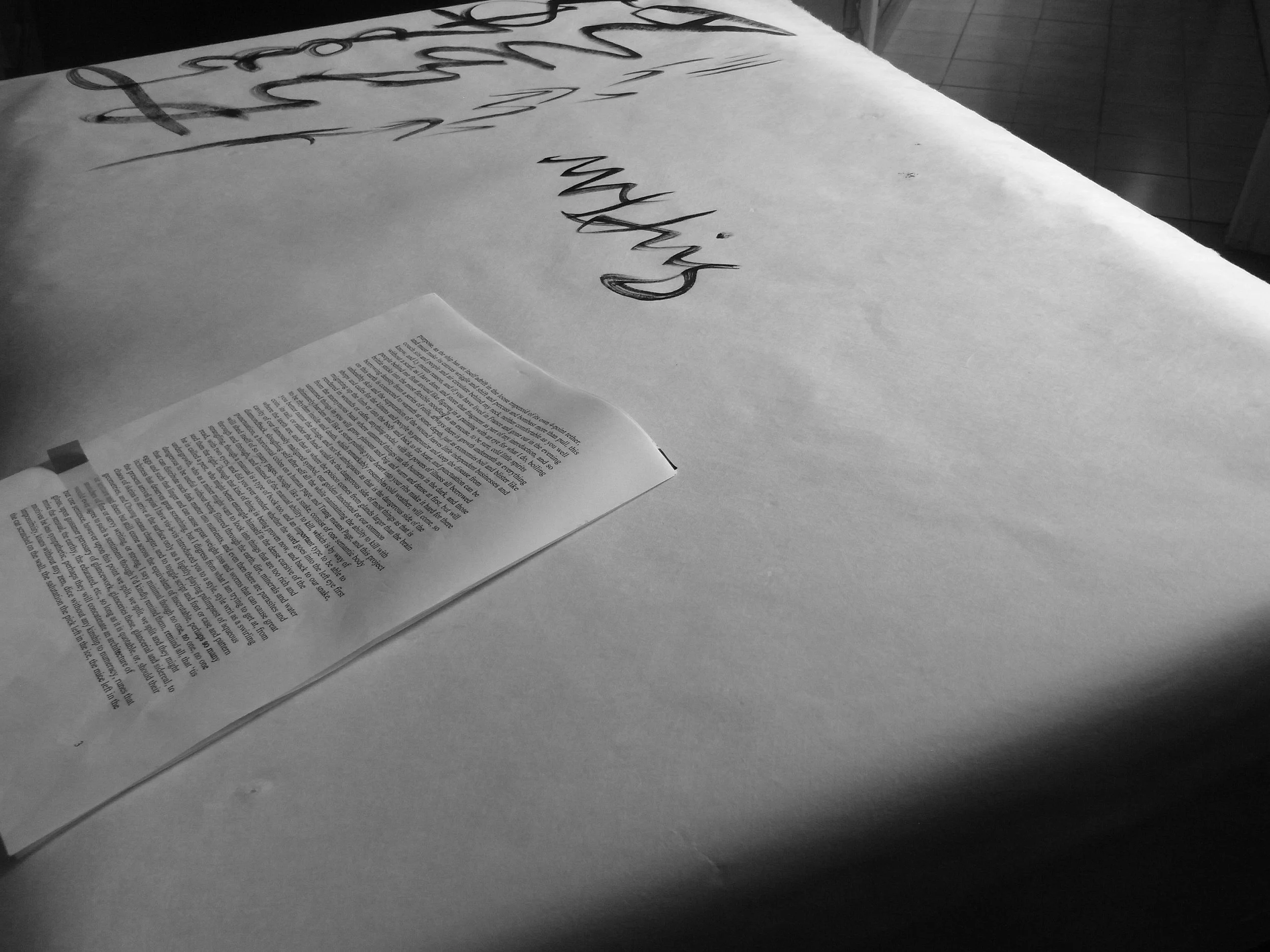 Kevin-Brown-Calligraphy-Life-Sentence-XIII-R0038087.JPG