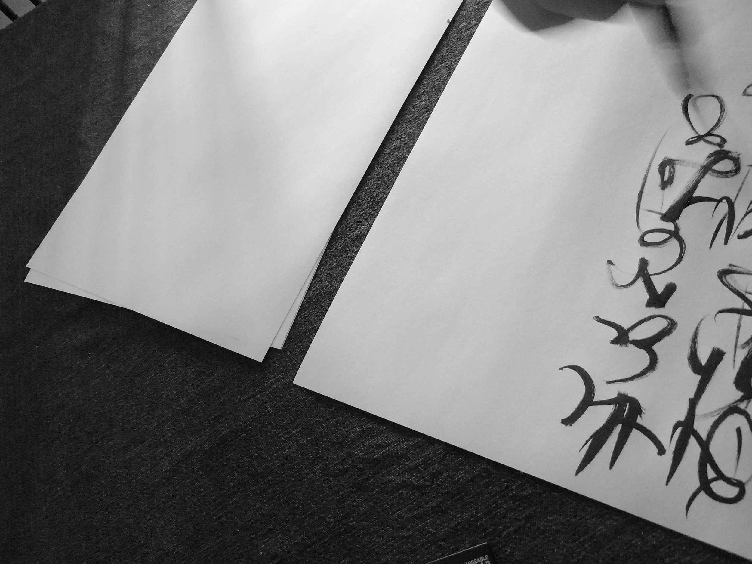 Kevin-Brown-Calligraphy-Constitution-R0019970.JPG