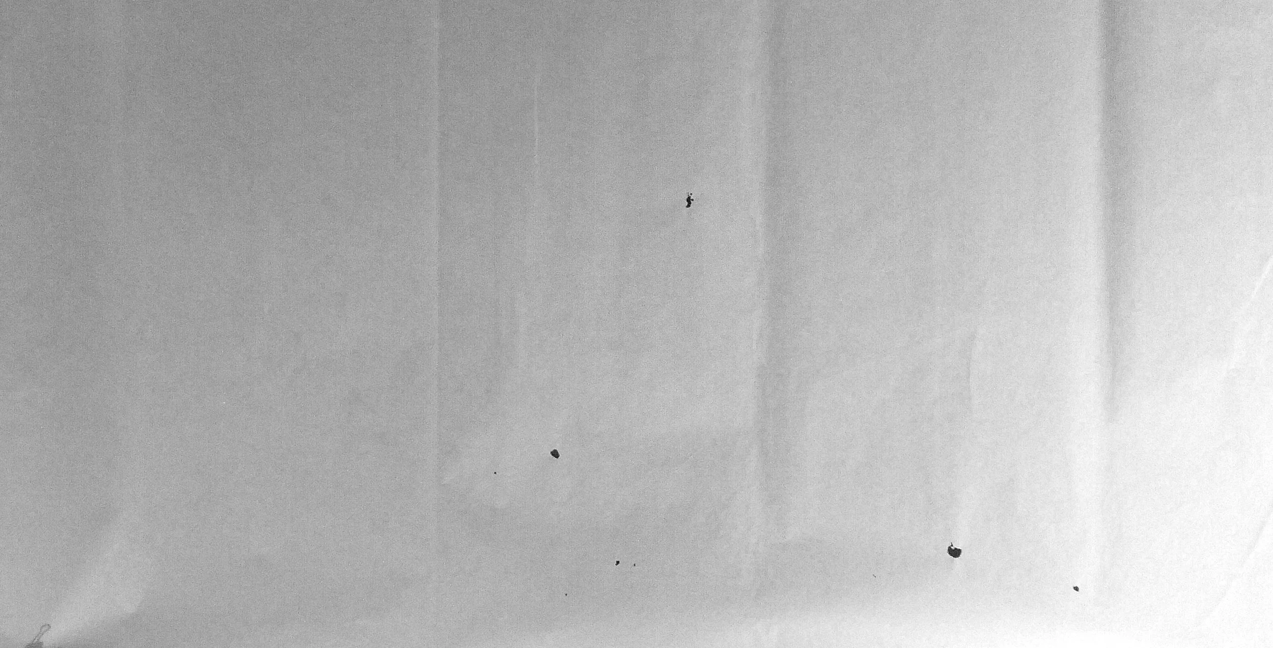Kevin-Brown-Calligraphy-Life-Sentence-Cropped-II-R0027602ad.JPG